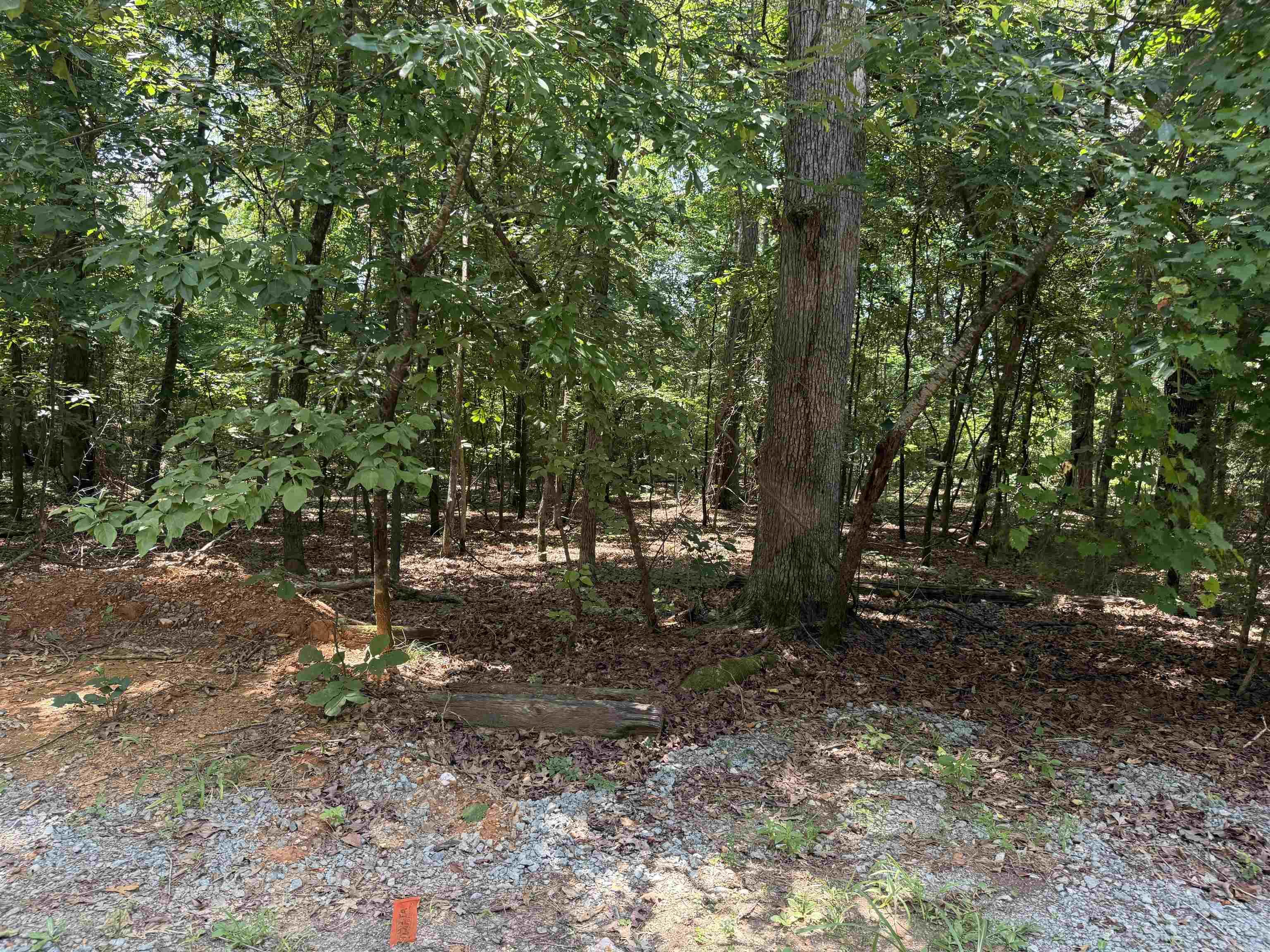 Oakmont Drive Property Photo 3
