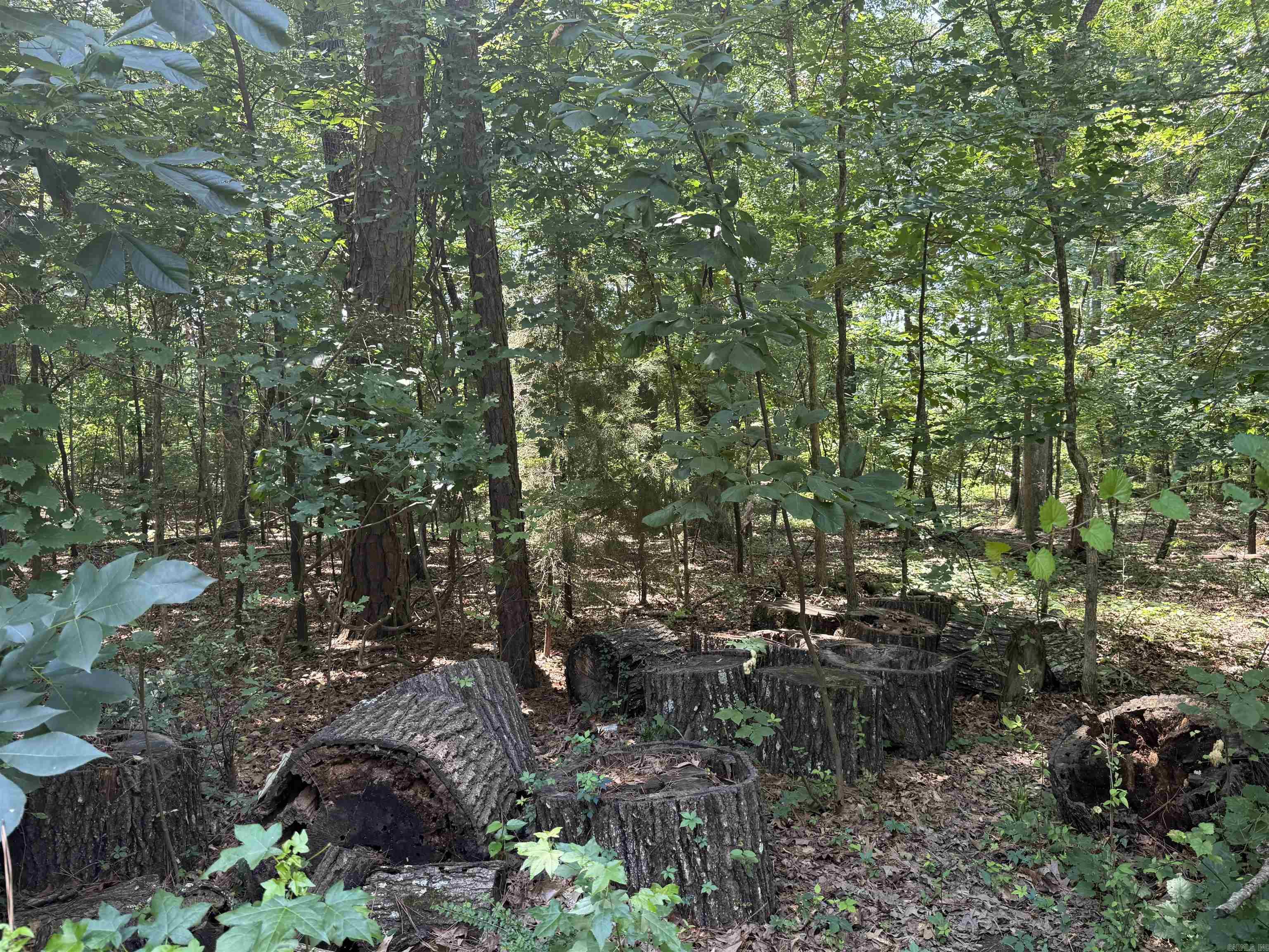 Oakmont Drive Property Photo 5