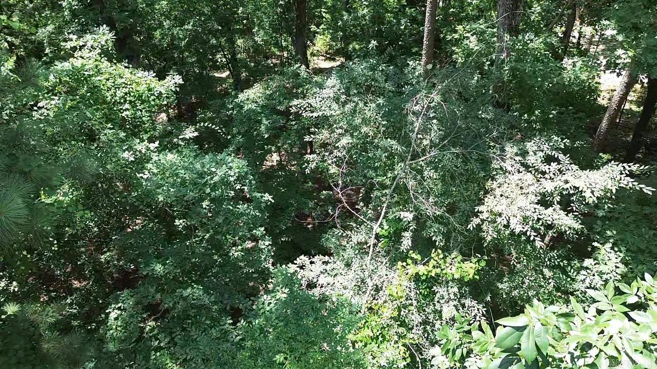 Oakmont Drive Property Photo 6