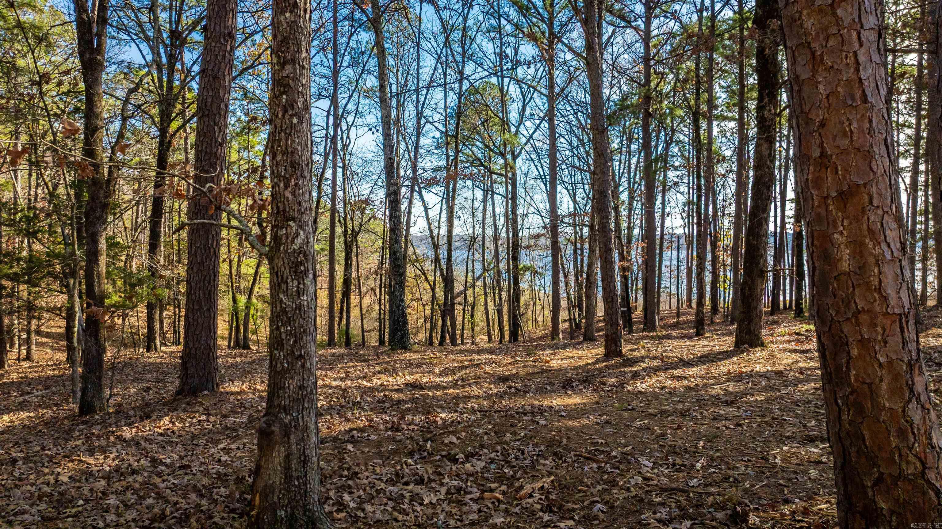 000 Miller Point (lot 47) Drive Property Photo 2
