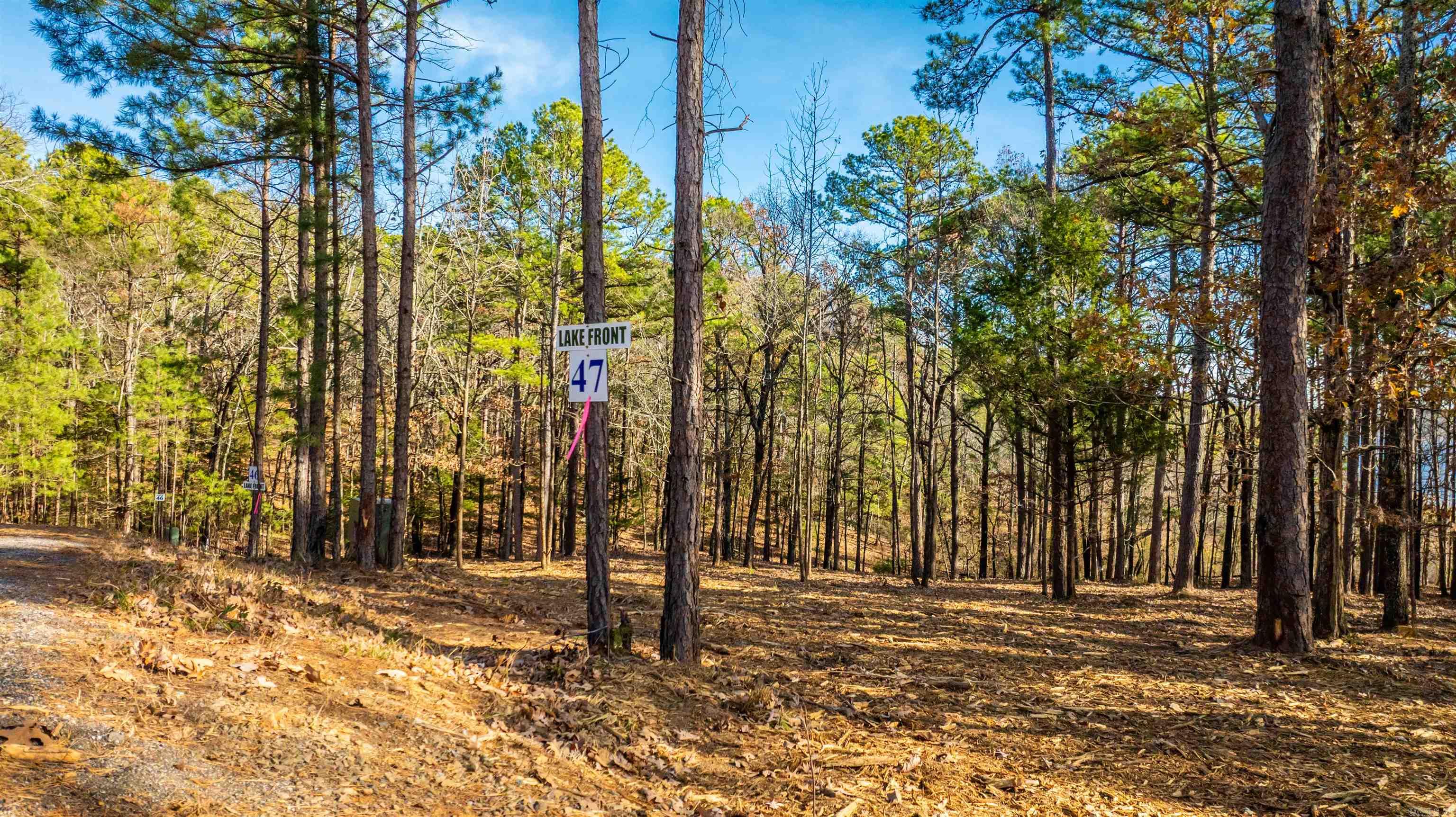 000 Miller Point (lot 47) Drive Property Photo 3