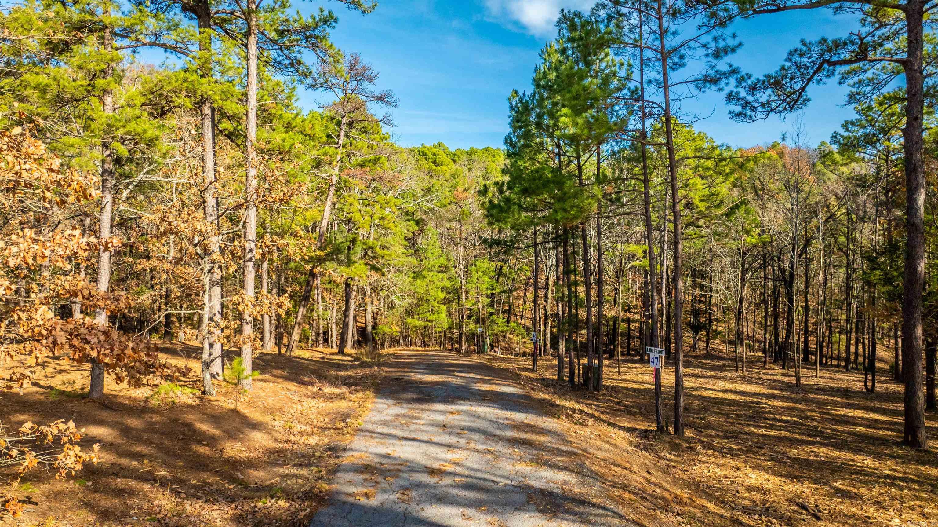 000 Miller Point (lot 47) Drive Property Photo 4