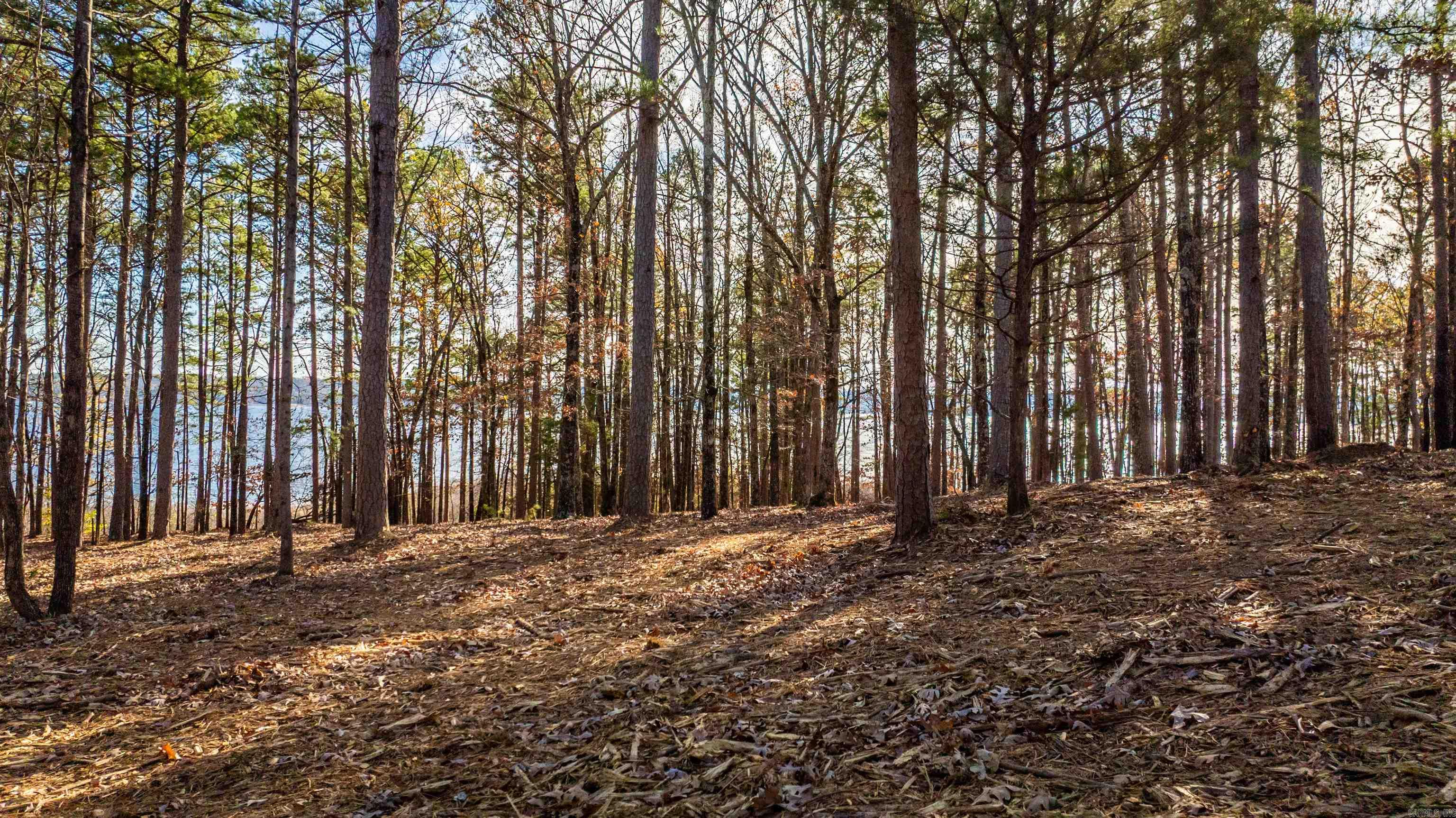 000 Miller Point (lot 47) Drive Property Photo 6