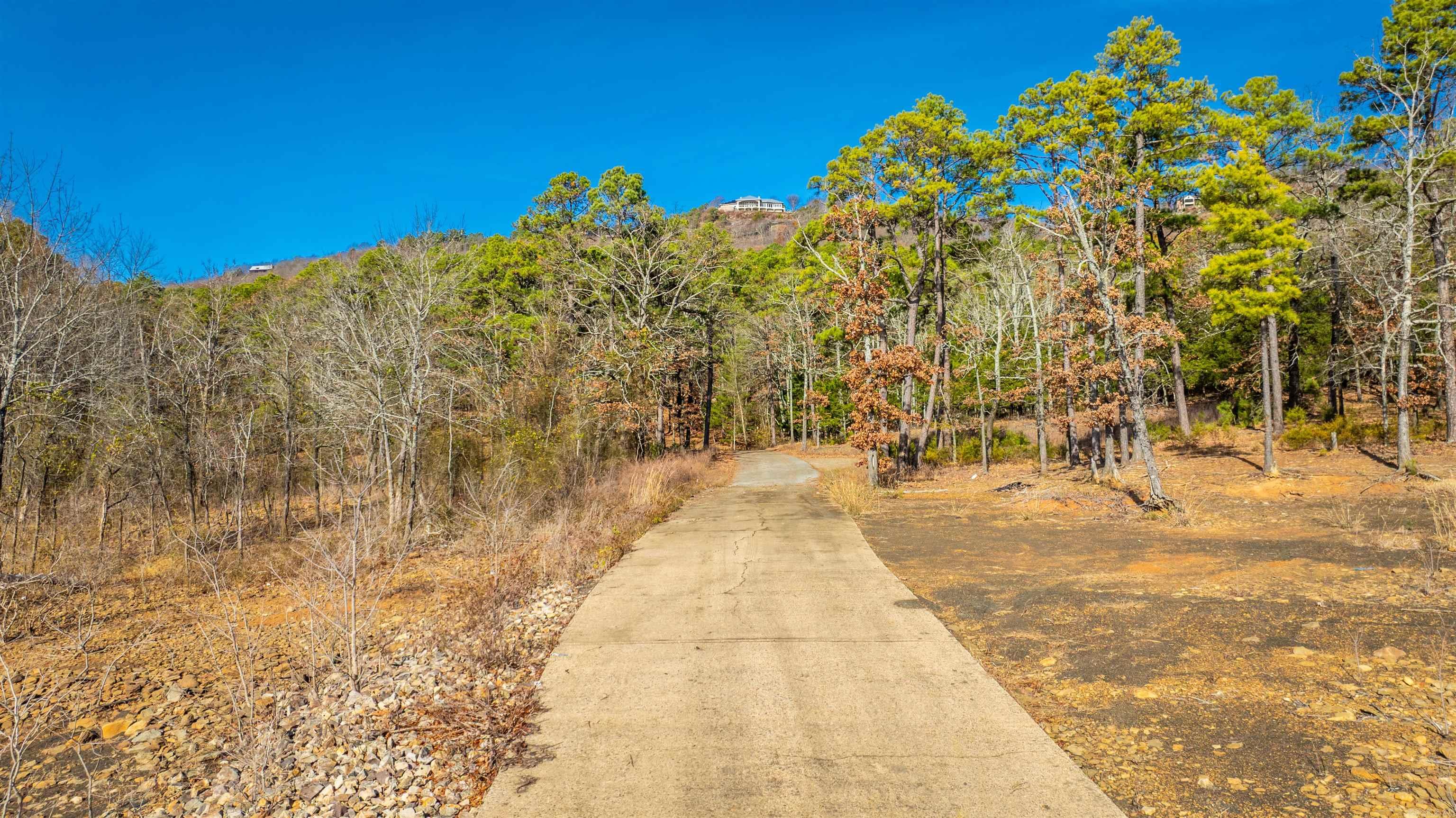 000 Miller Point (lot 47) Drive Property Photo 10