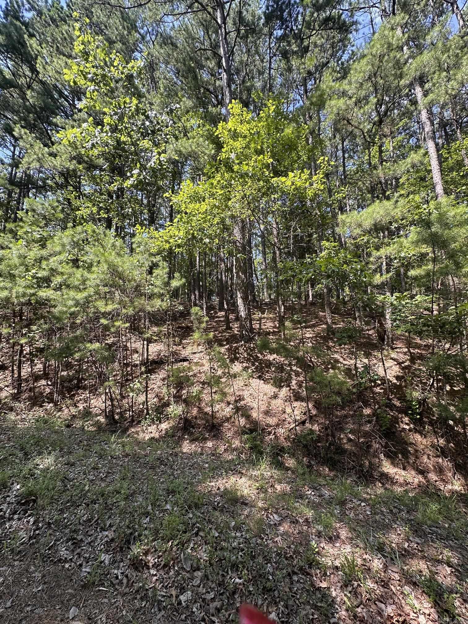 89 Gerante Way Property Photo 3