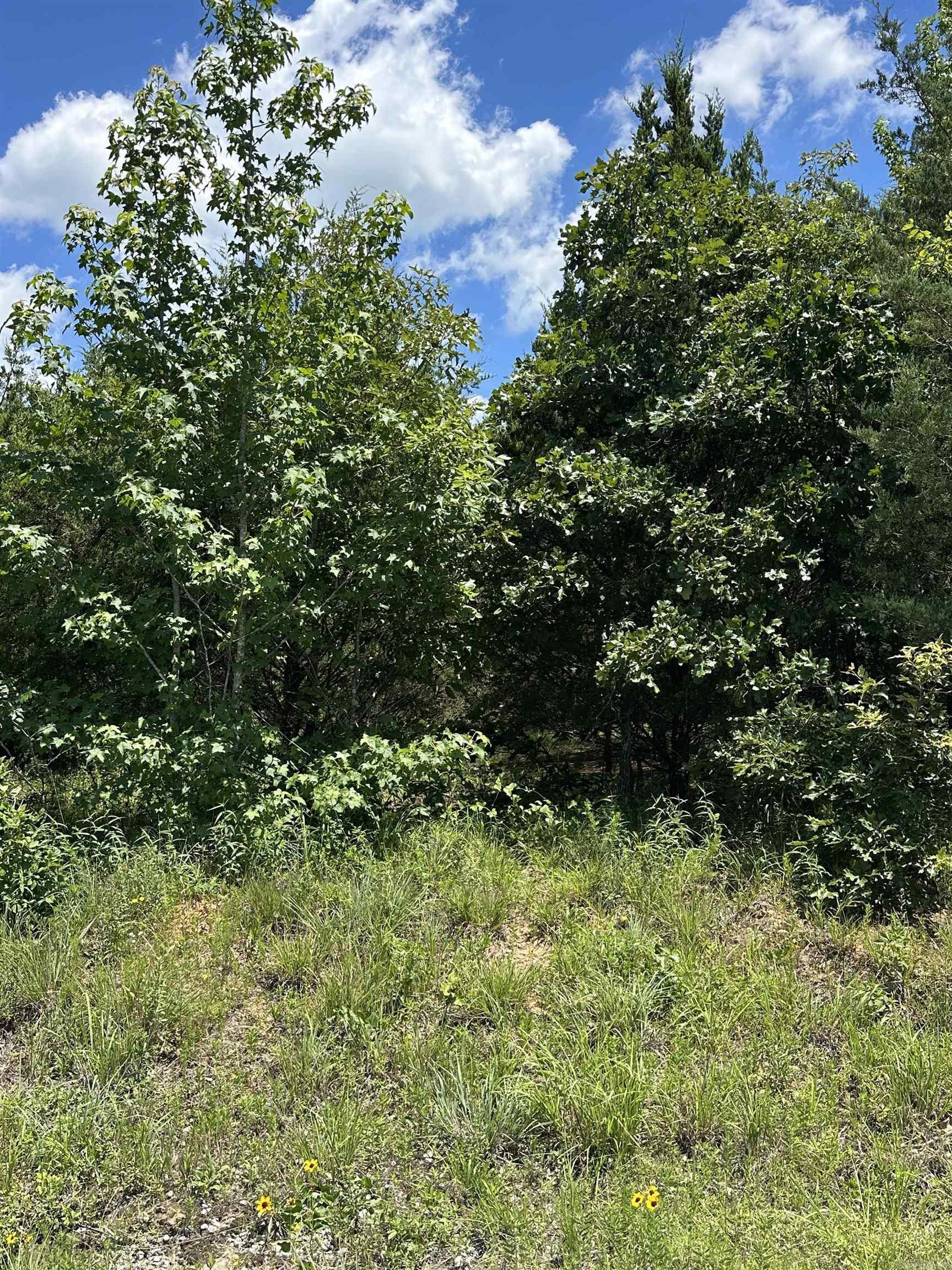 212 Byars Road Property Photo 1