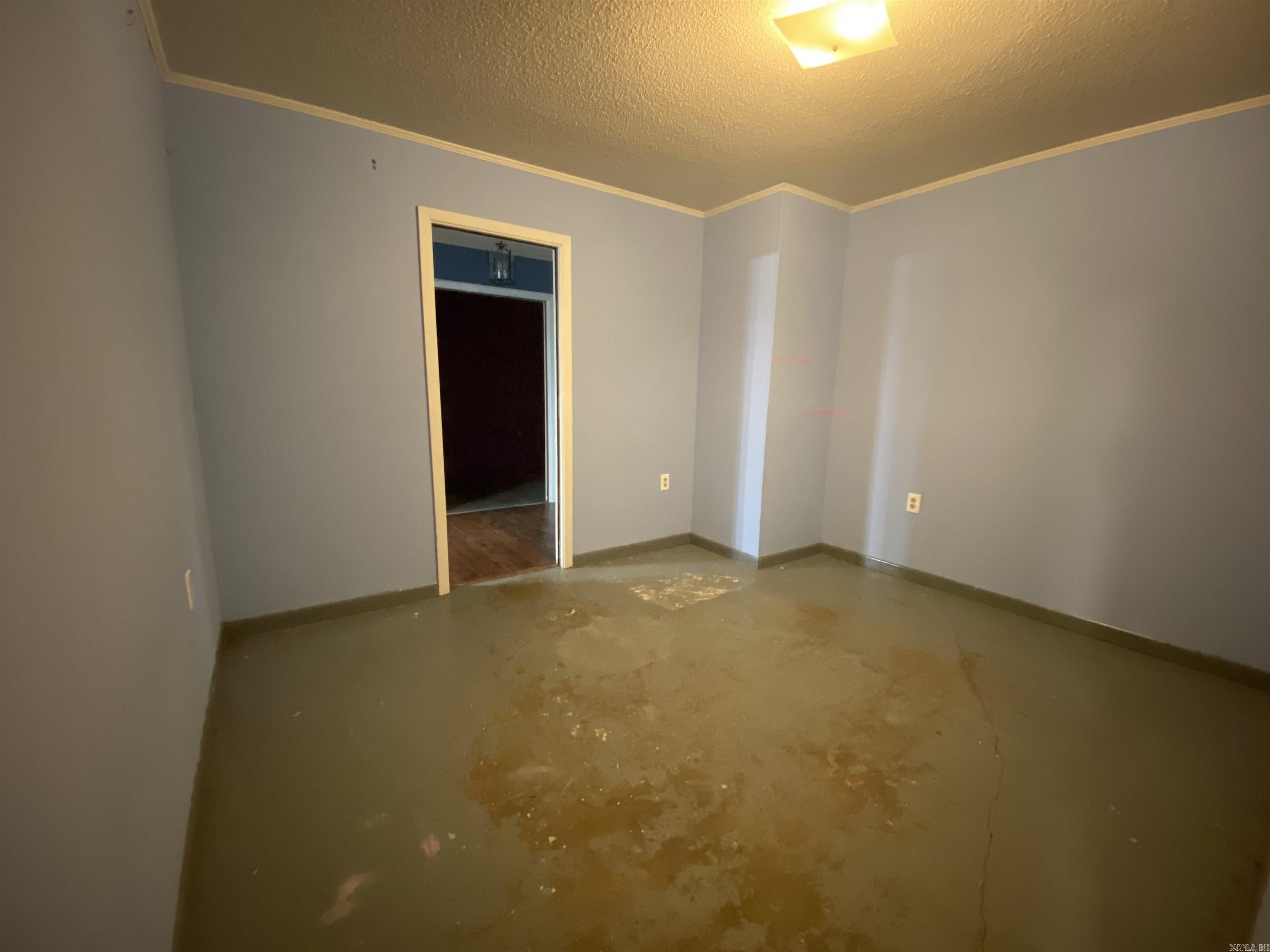 3691 Charley's Loop Property Photo 13