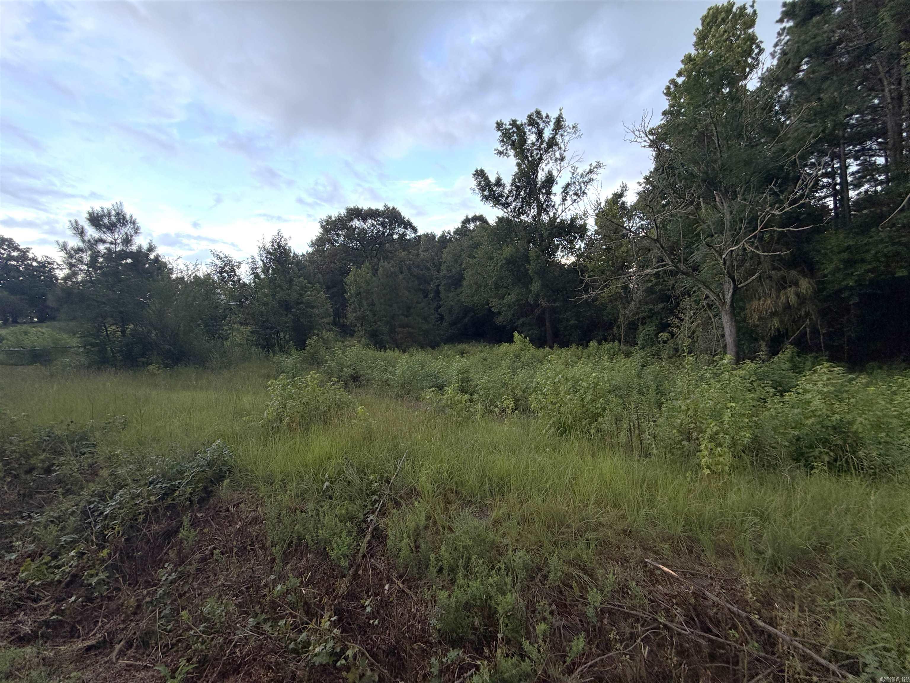 000 Dawson Road Property Photo 4