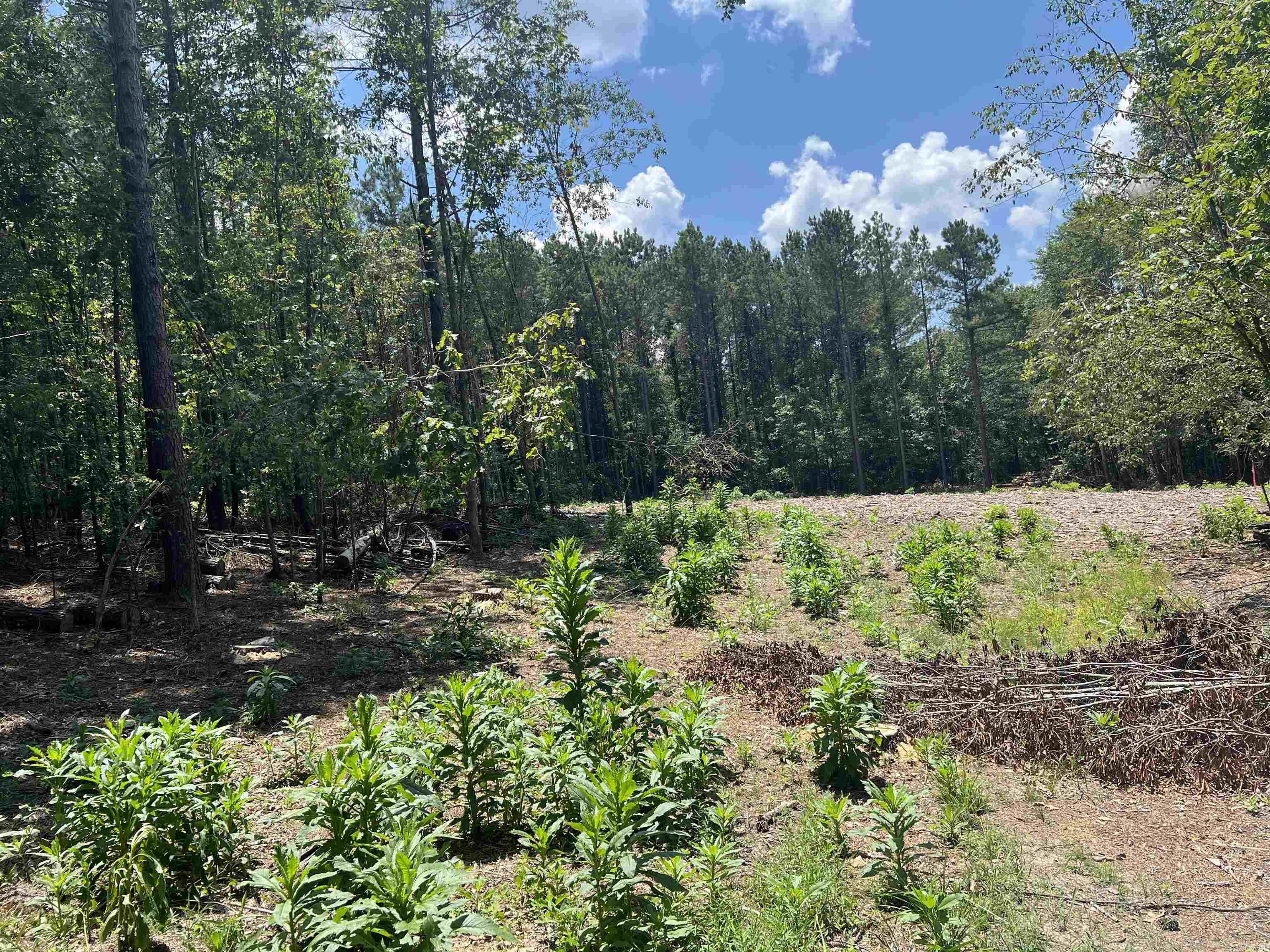 9 Casey Lane Property Photo 1