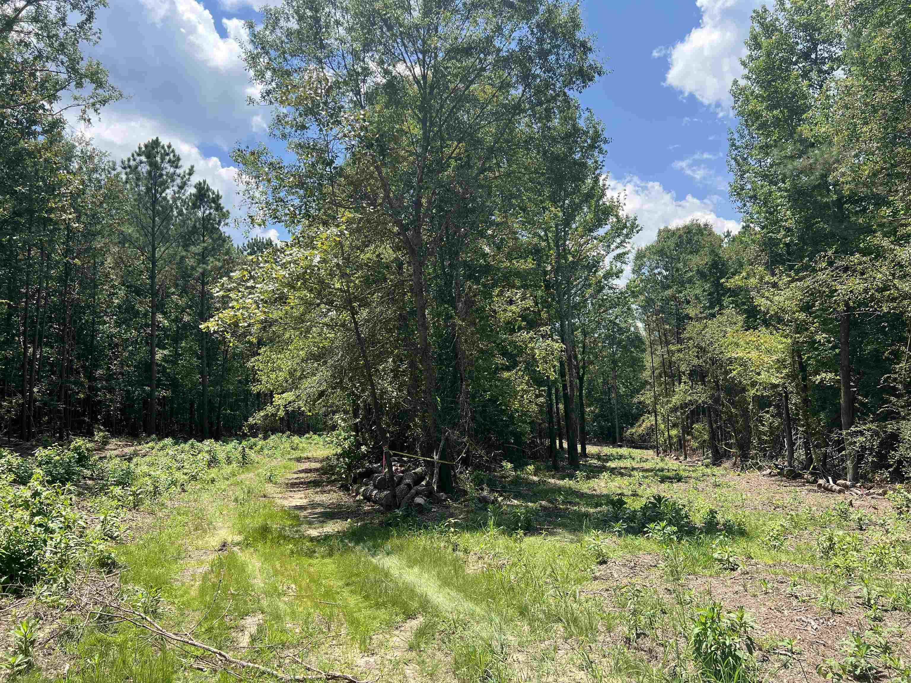 9 Casey Lane Property Photo 2