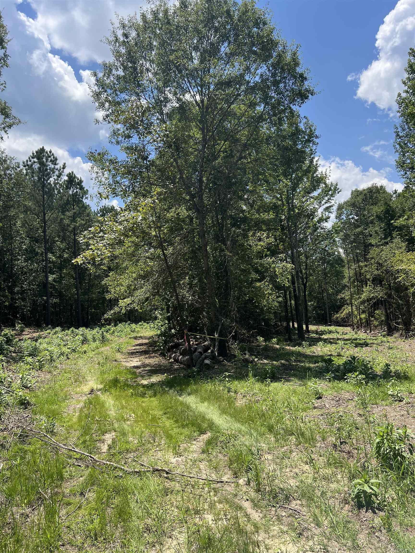 9 Casey Lane Property Photo 3