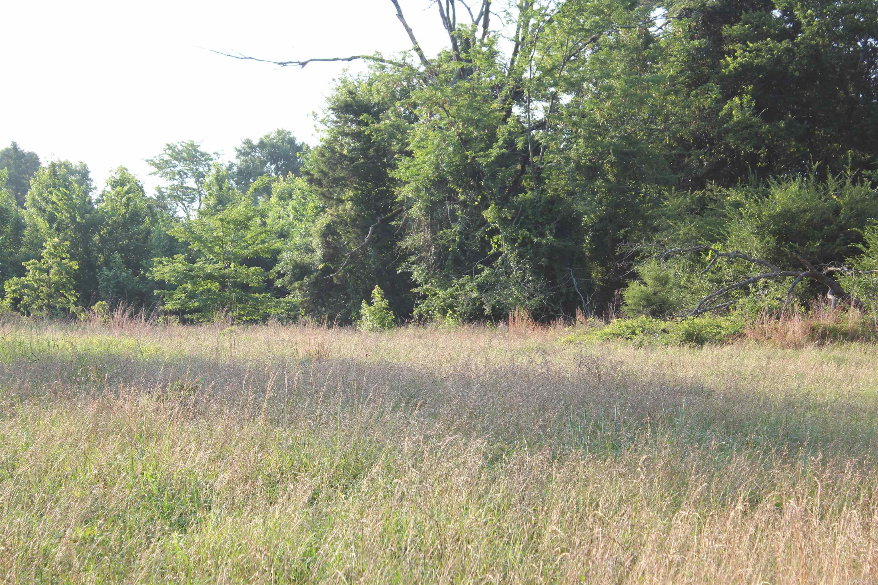 002 197 Property Photo 26