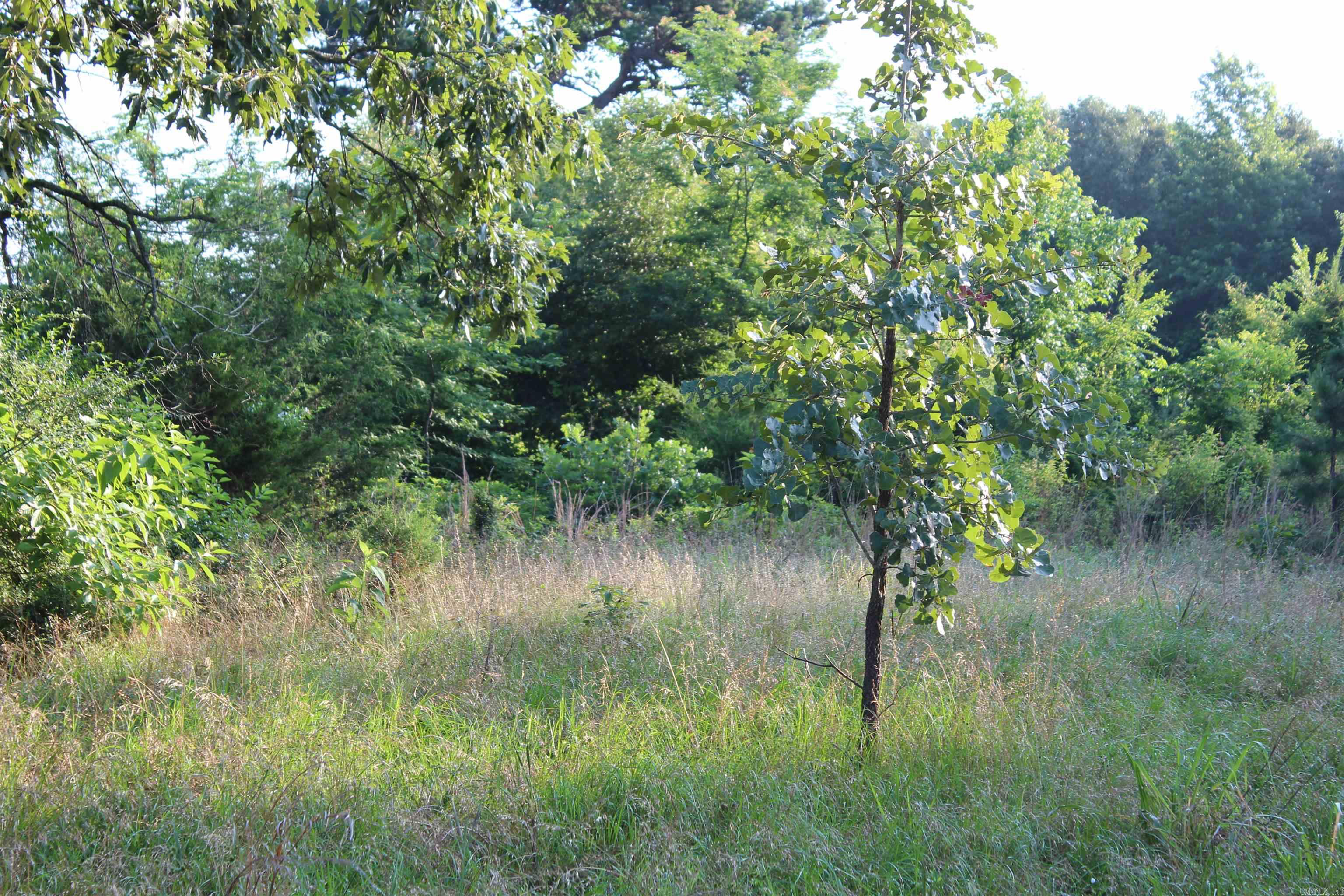 002 197 Property Photo 29