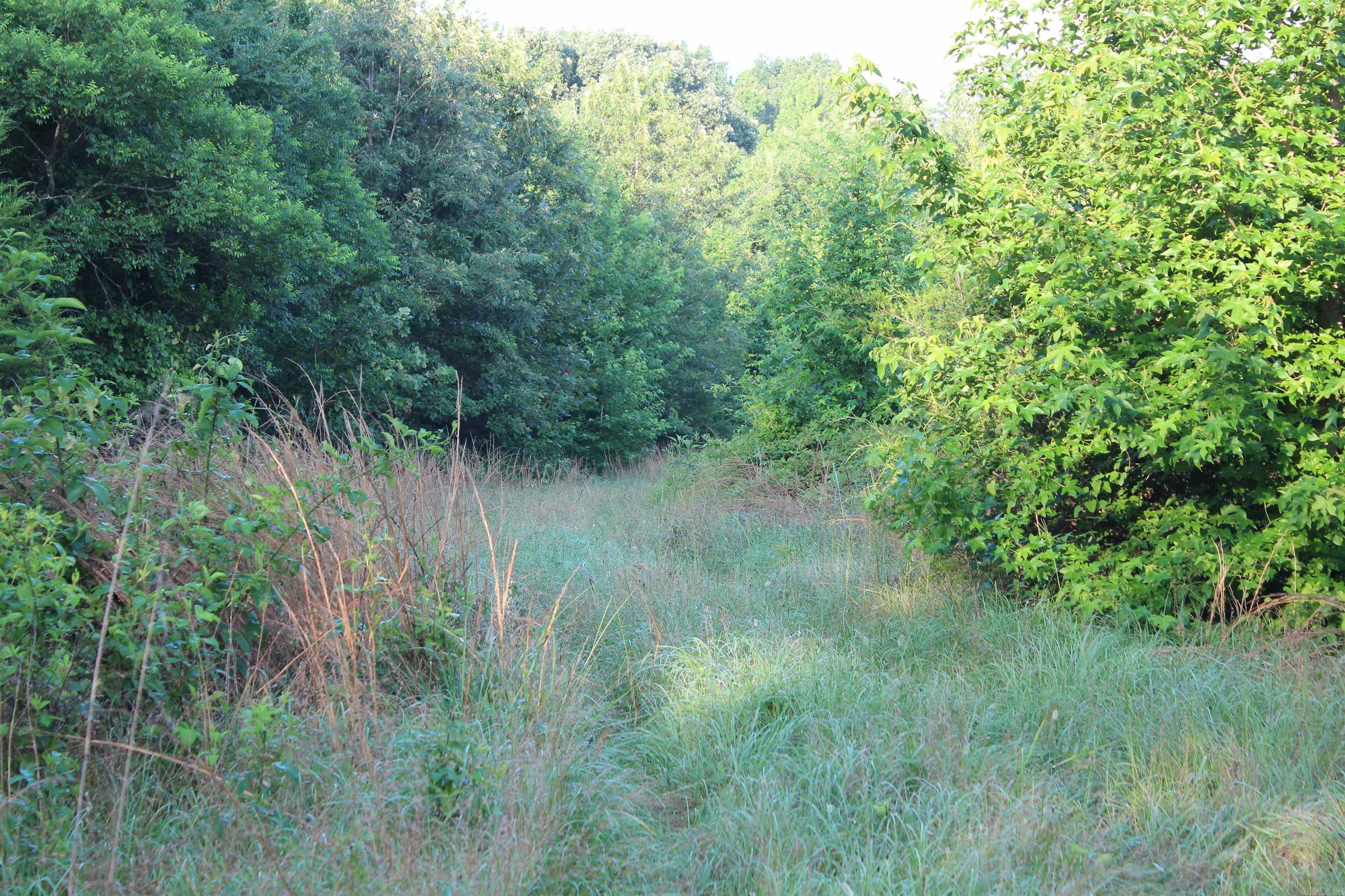 002 197 Property Photo 31