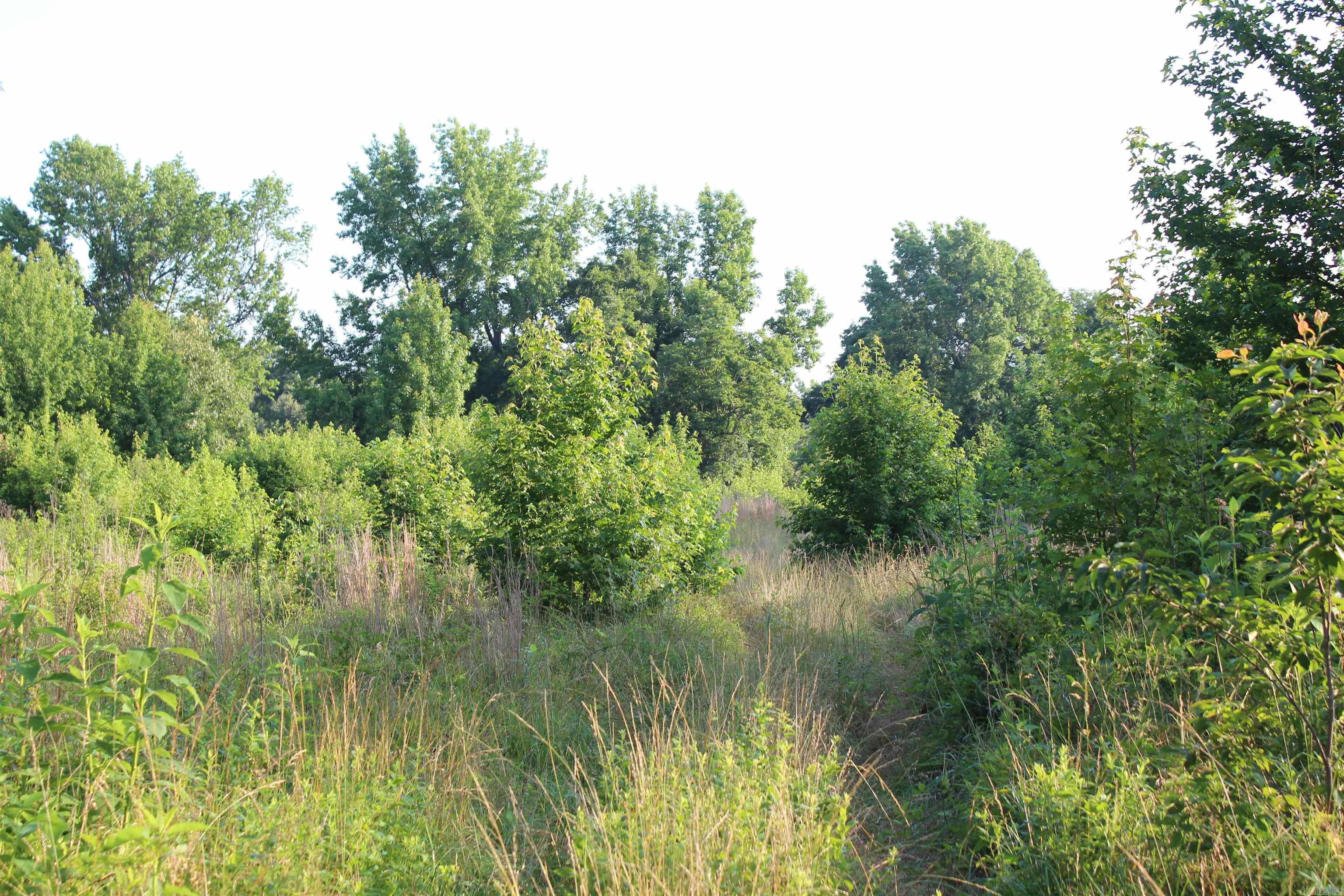 002 197 Property Photo 35