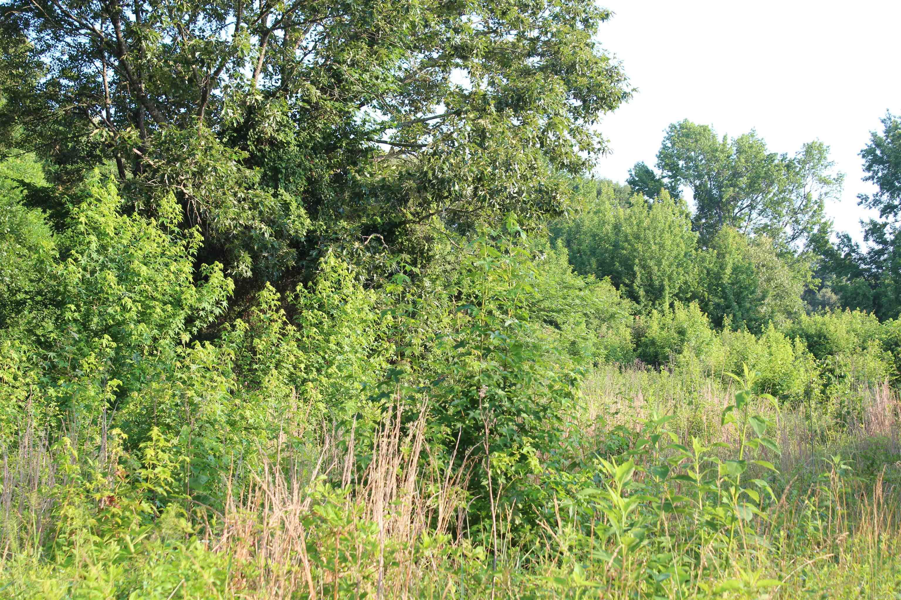 002 197 Property Photo 36