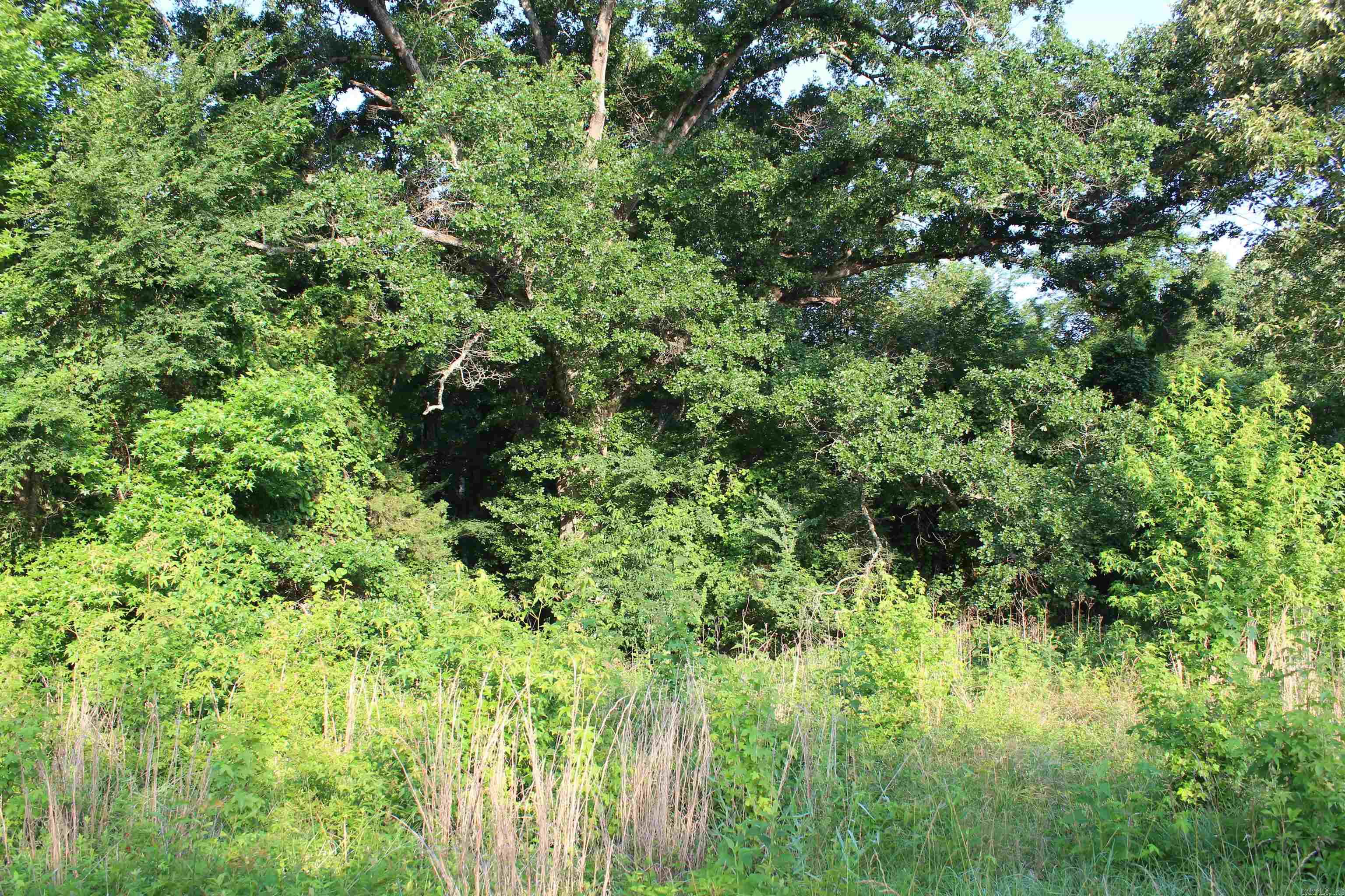 002 197 Property Photo 37