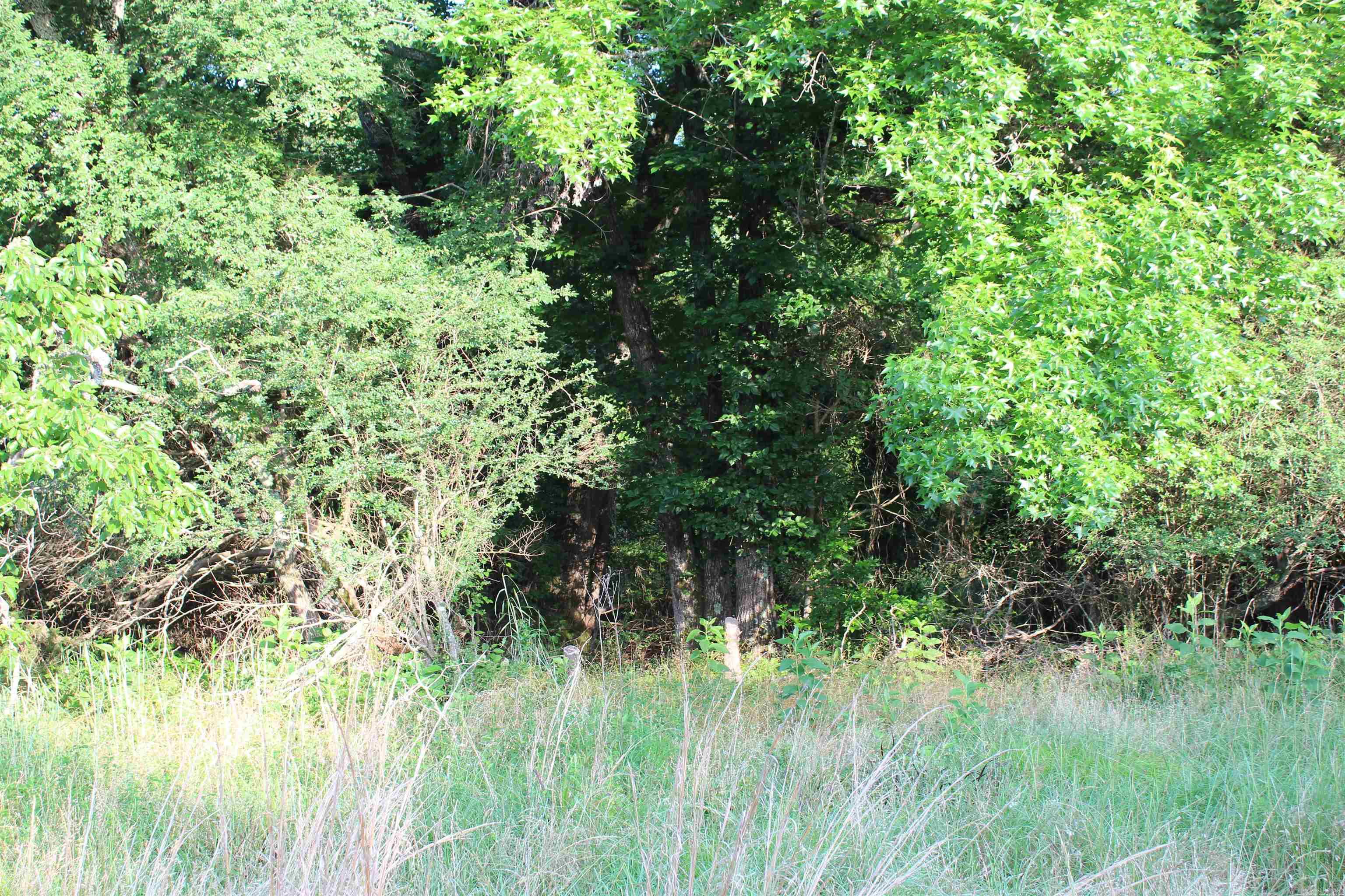 002 197 Property Photo 38