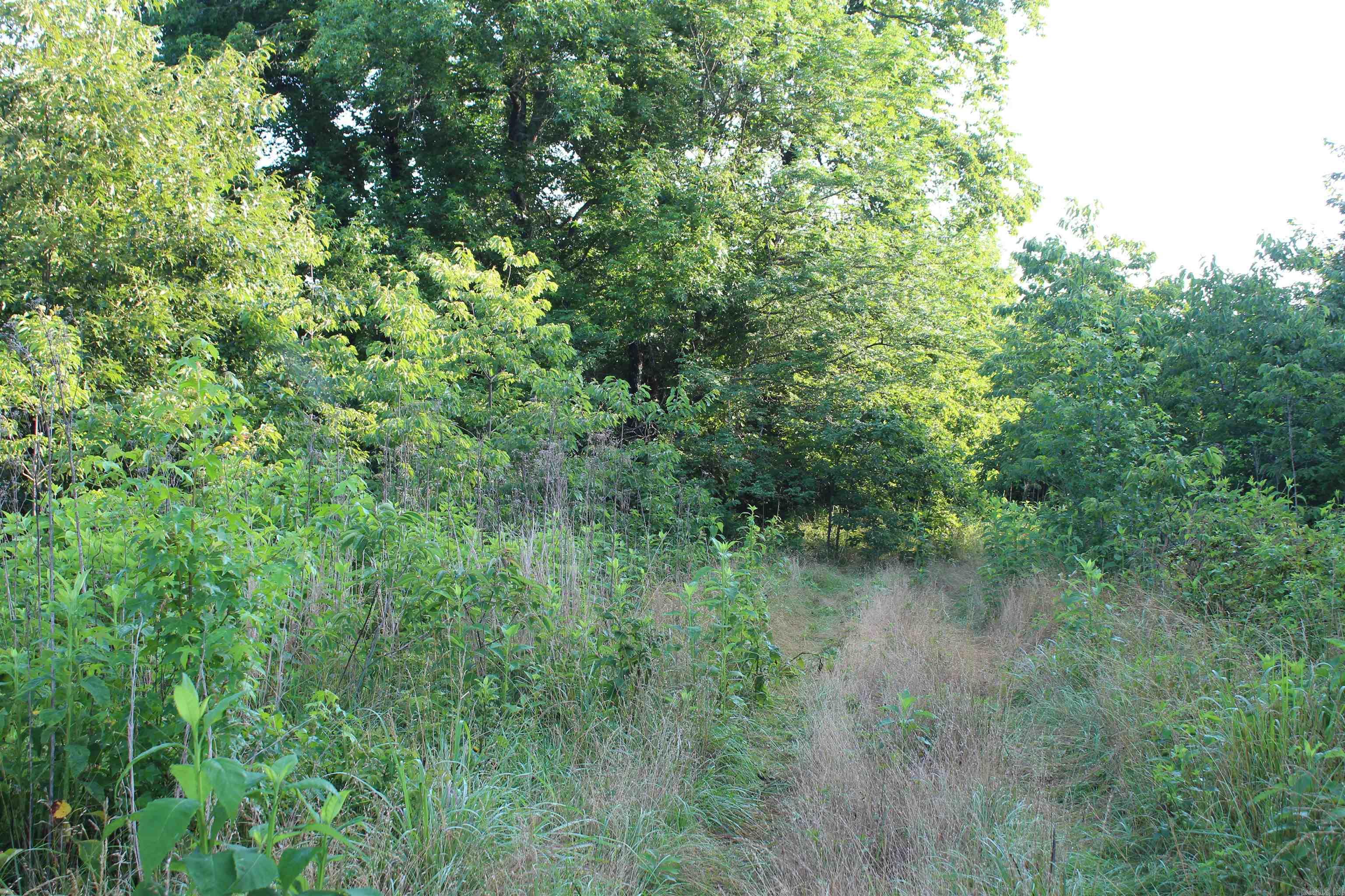 002 197 Property Photo 39