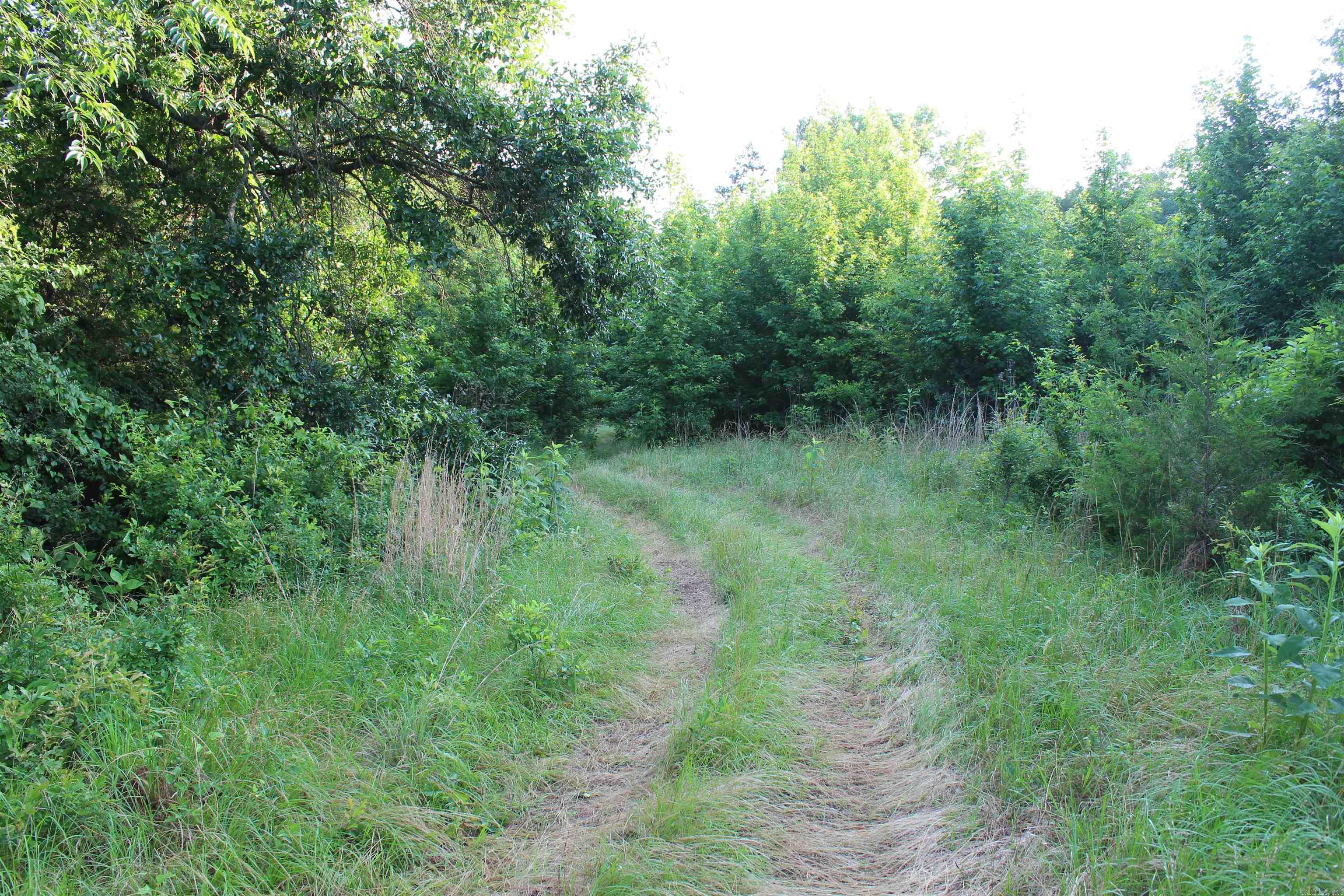 002 197 Property Photo 41