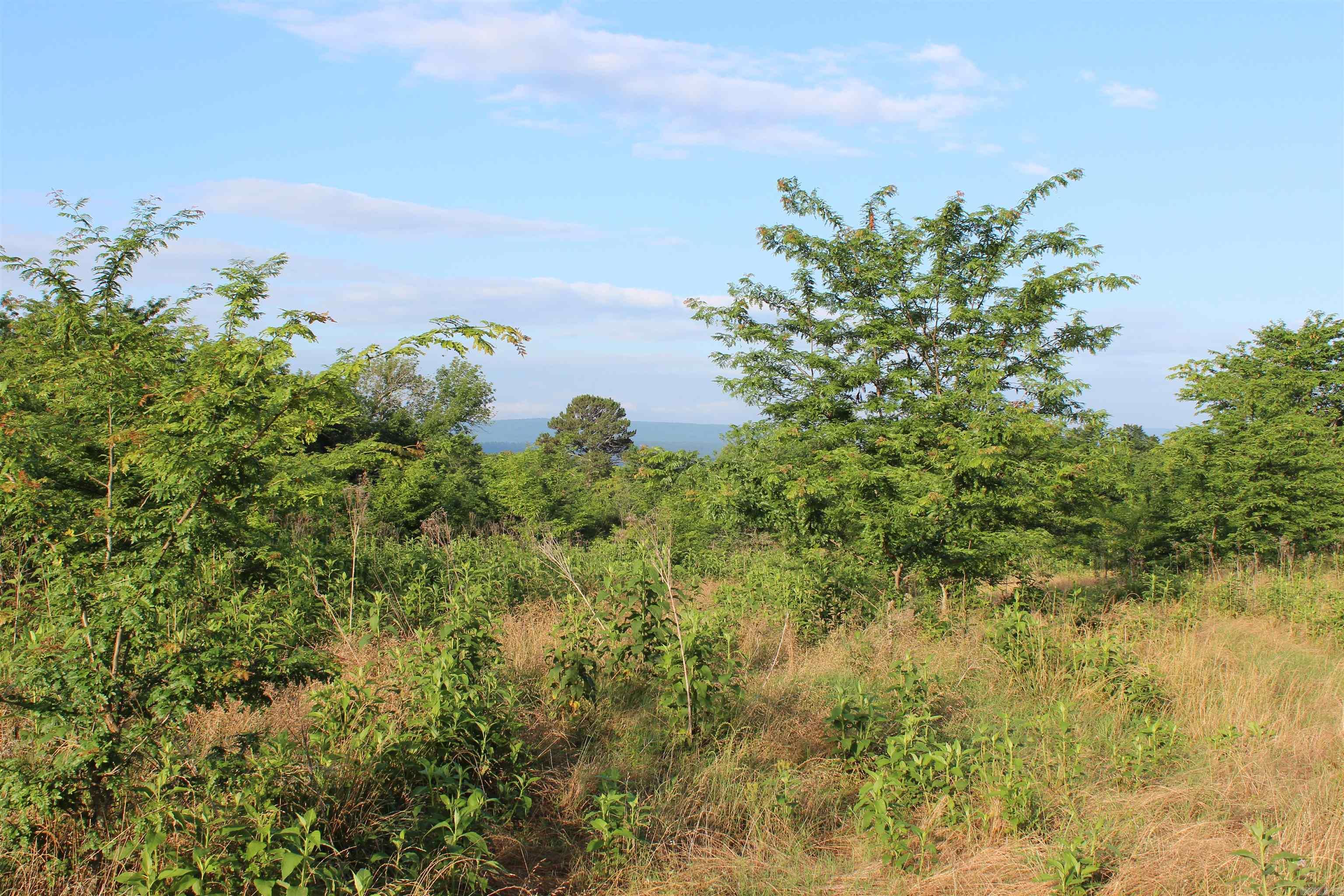 003 197 Property Photo 29