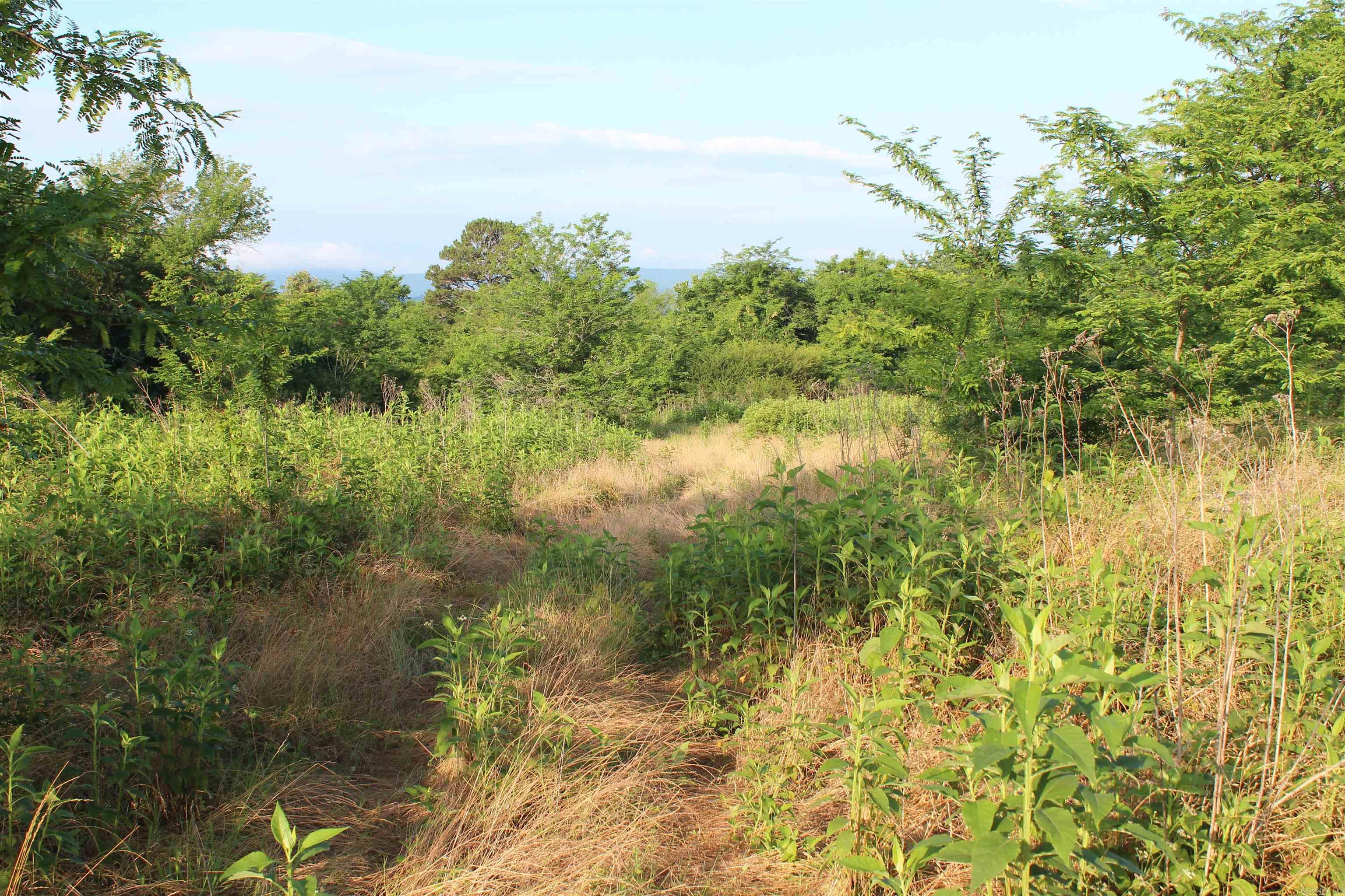 003 197 Property Photo 30