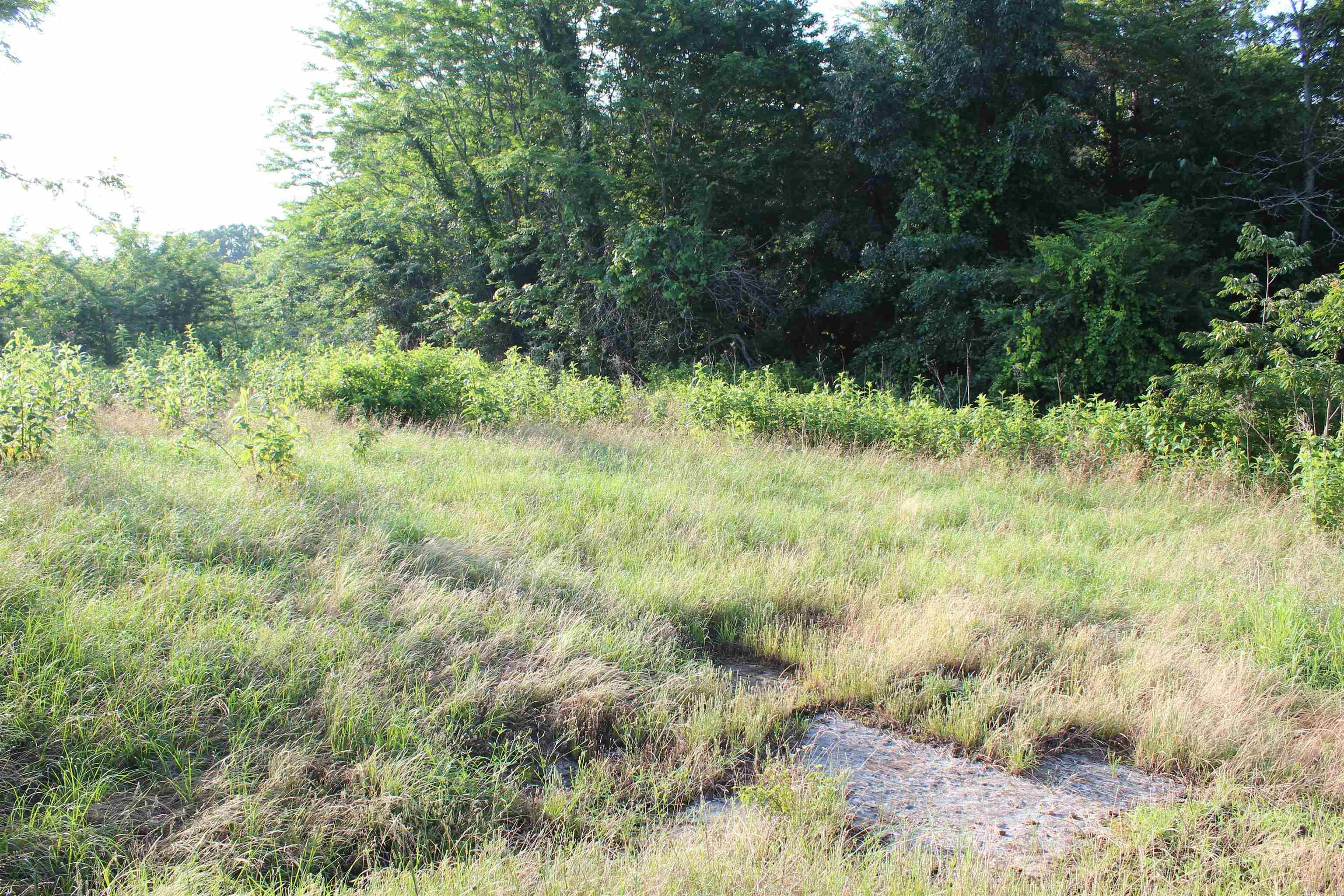 003 197 Property Photo 31