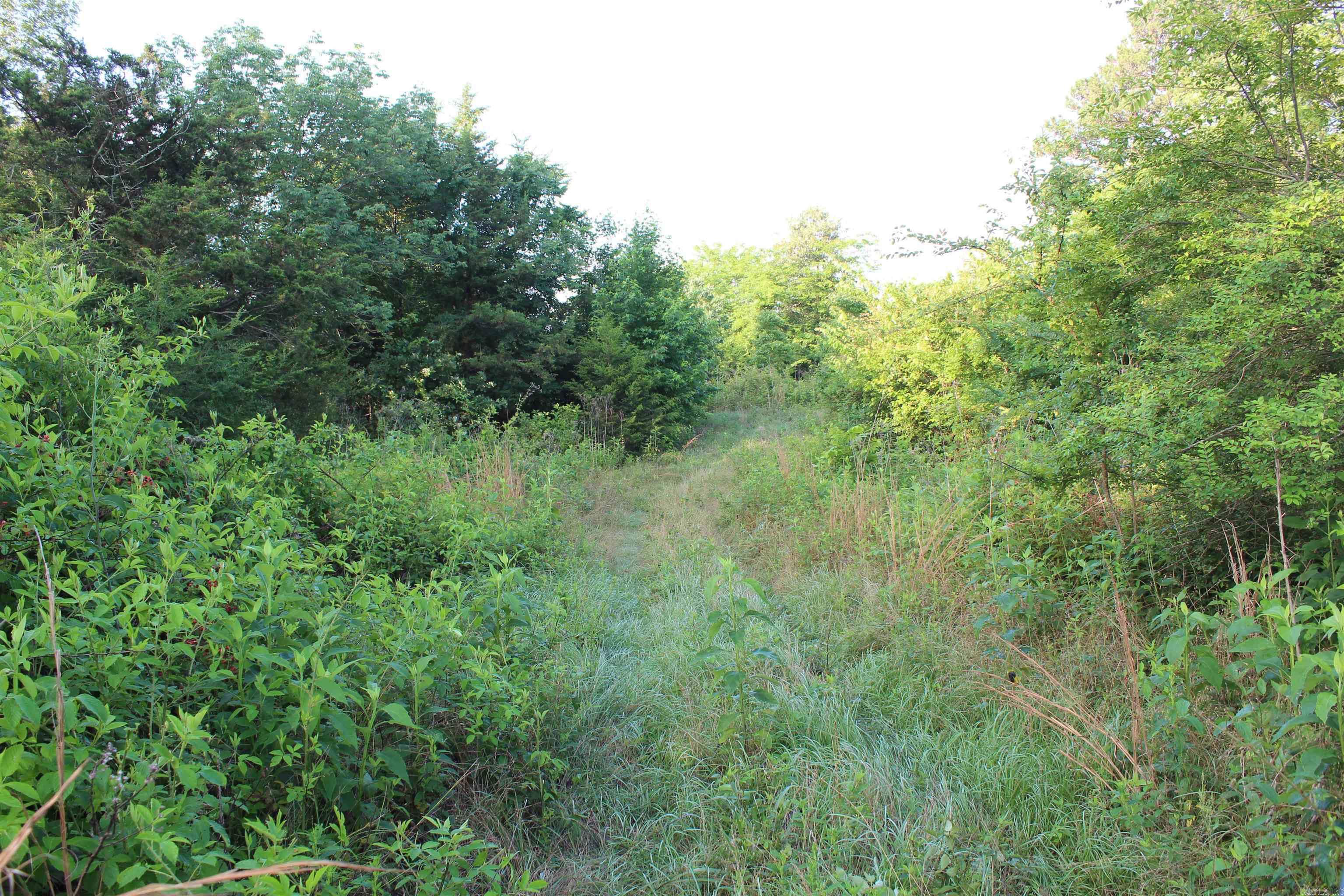 003 197 Property Photo 32