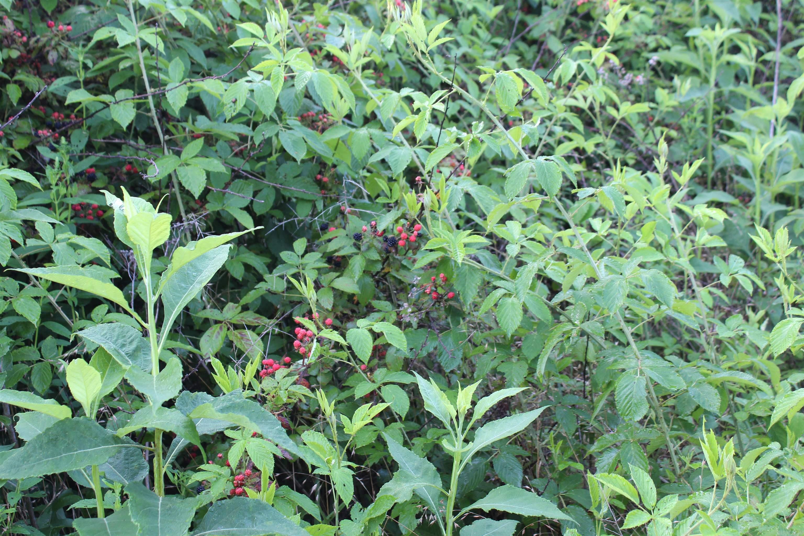003 197 Property Photo 33
