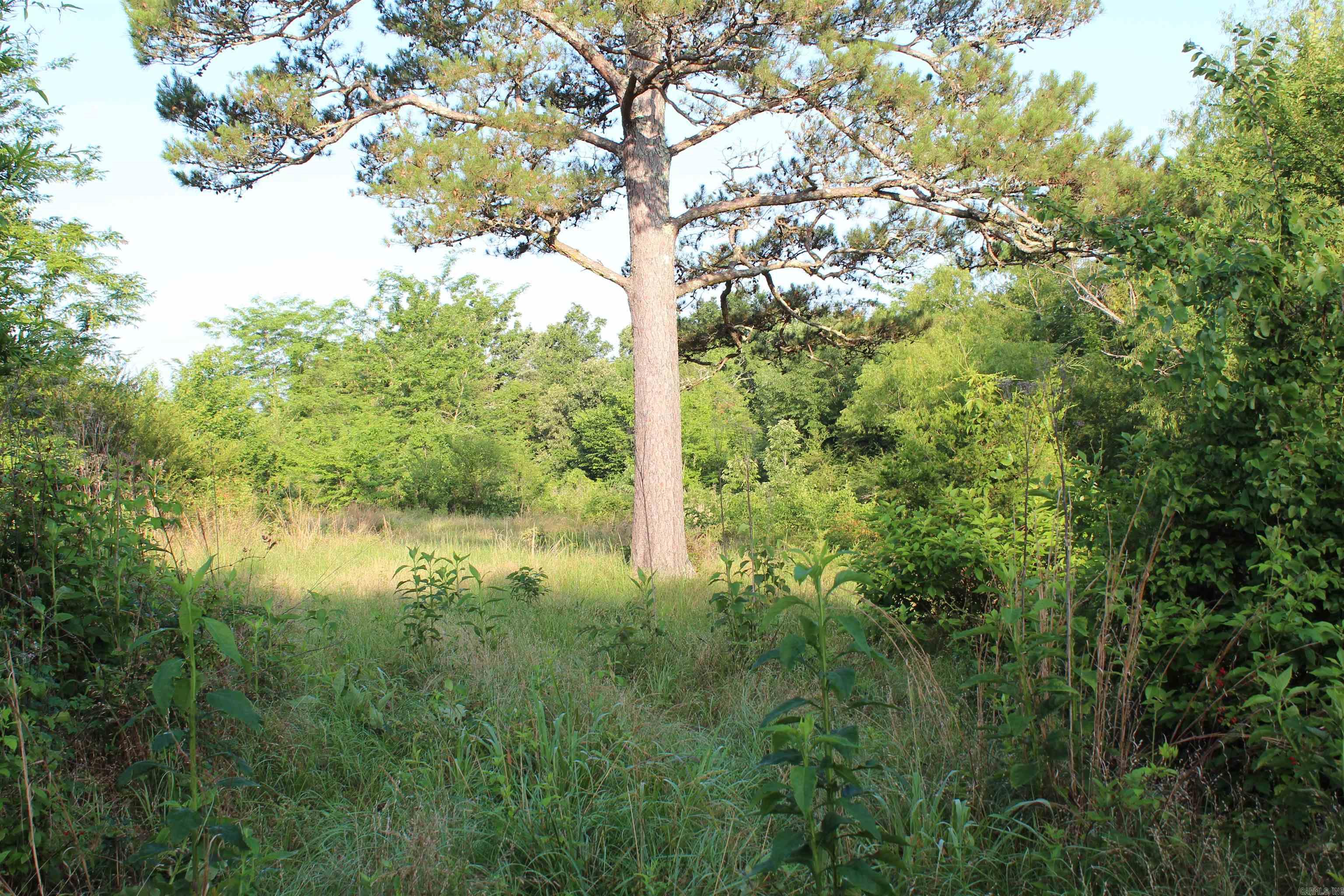 003 197 Property Photo 34