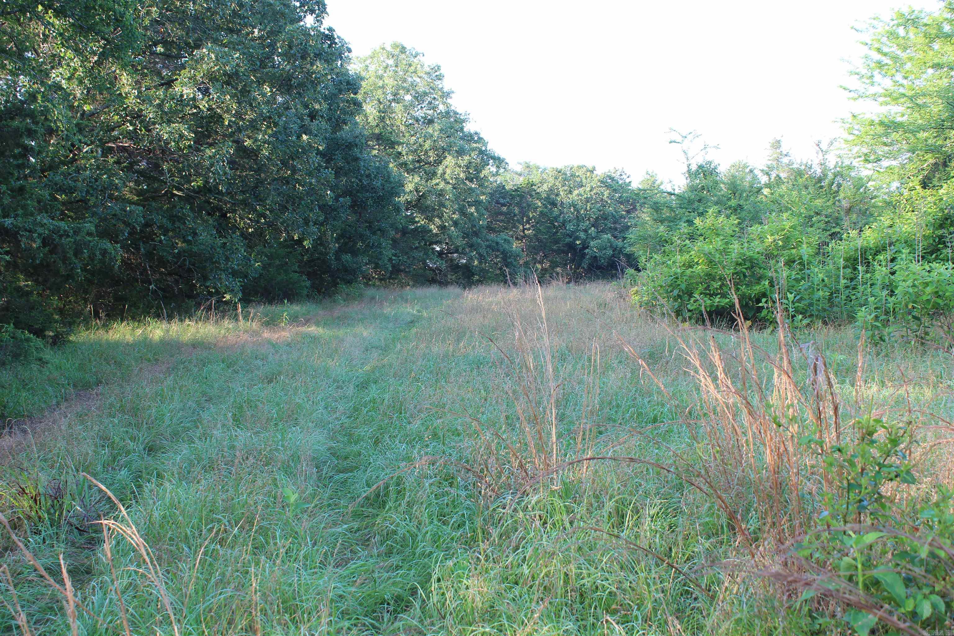 003 197 Property Photo 35
