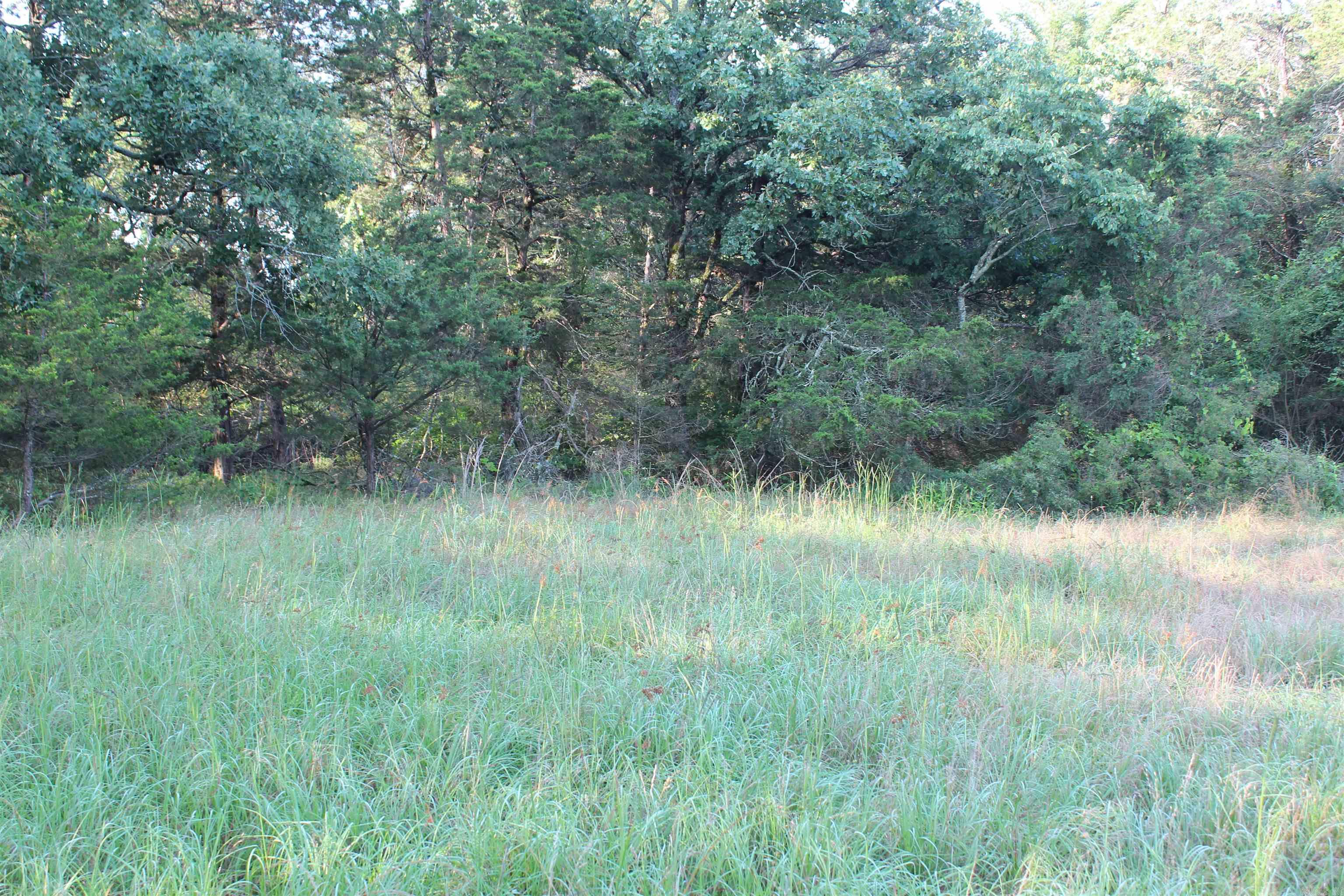 003 197 Property Photo 36
