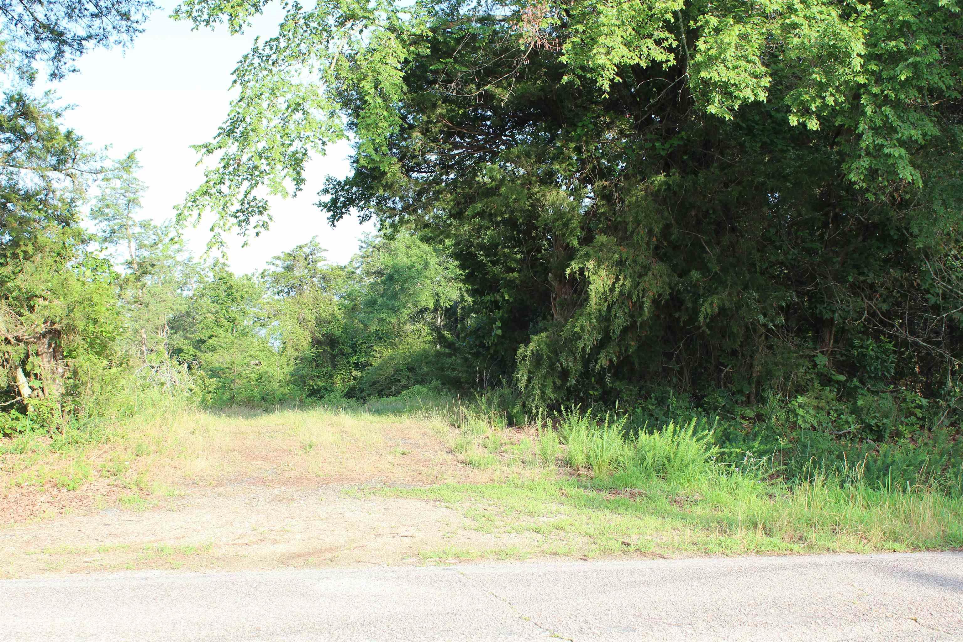 003 197 Property Photo 39