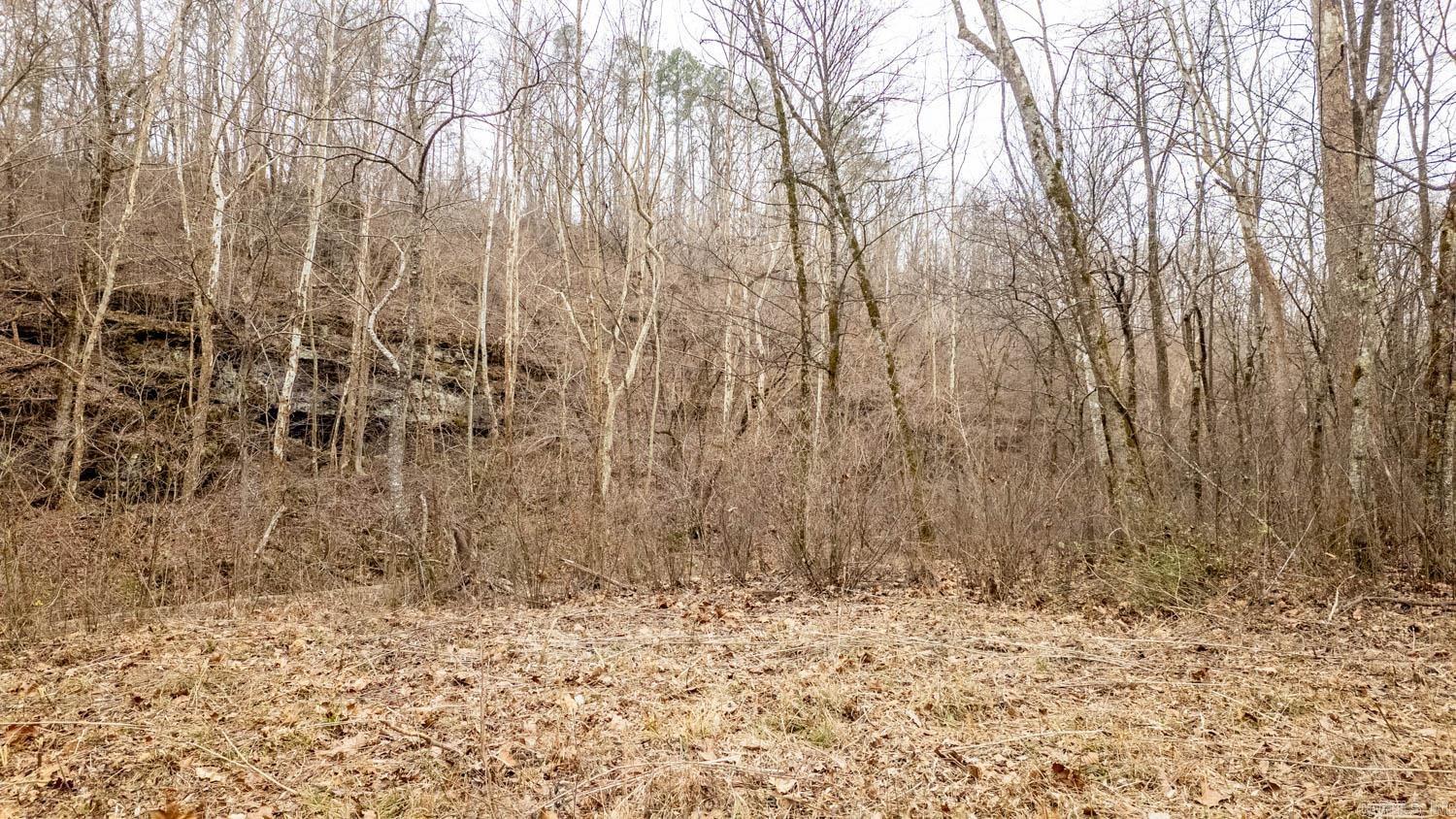 000 County Road 19-a Property Photo 7