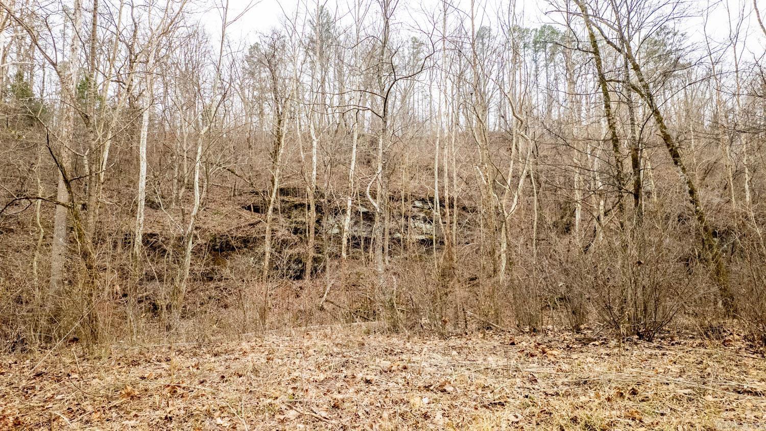 000 County Road 19-a Property Photo 8