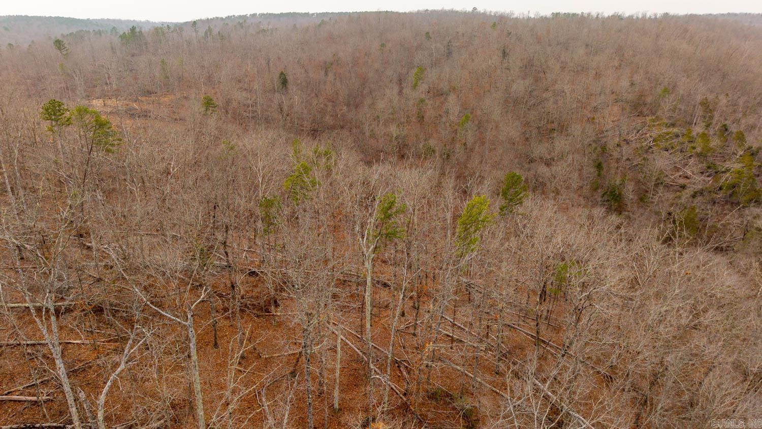 000 County Road 19-a Property Photo 17