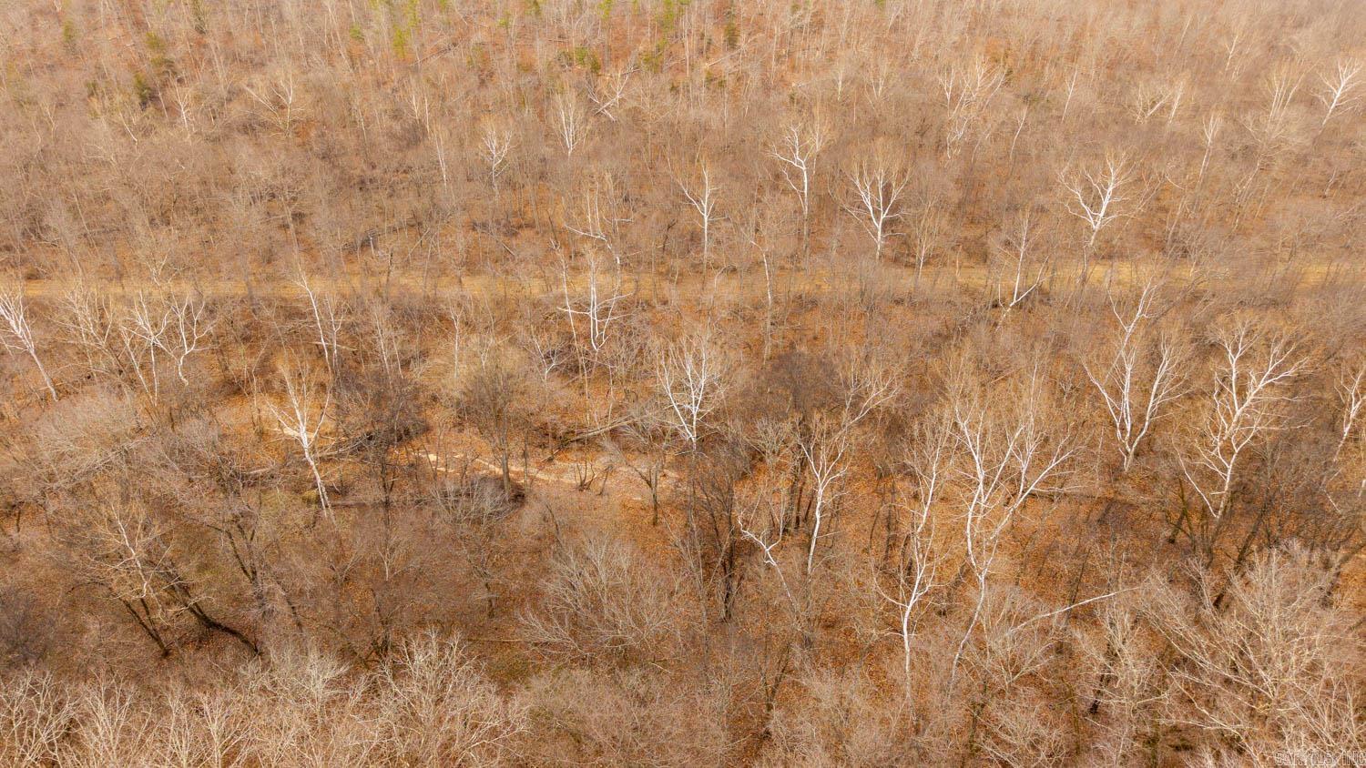 000 County Road 19-a Property Photo 19