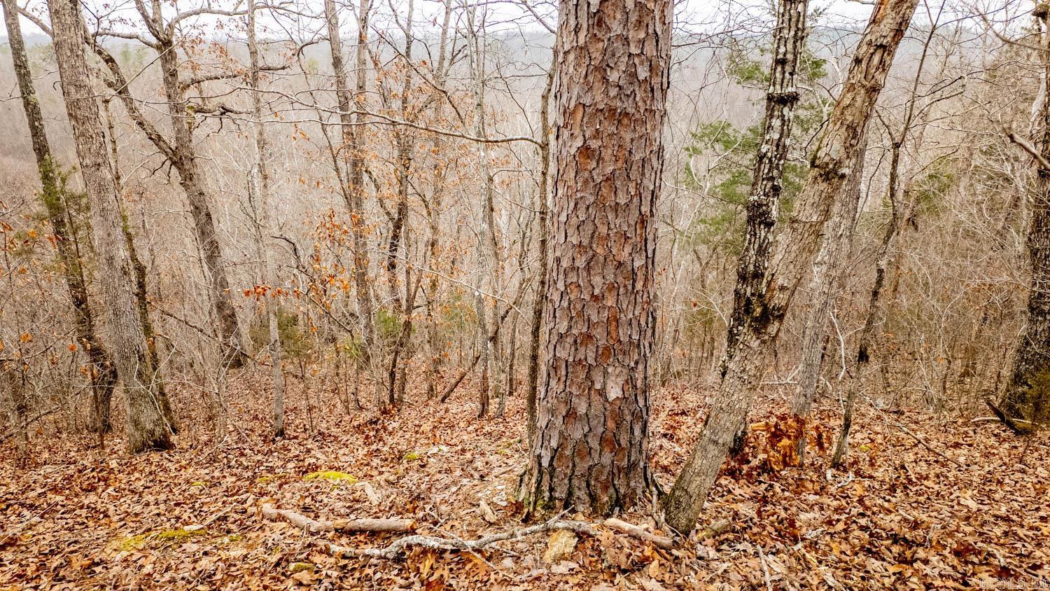 000 County Road 19-a Property Photo 29