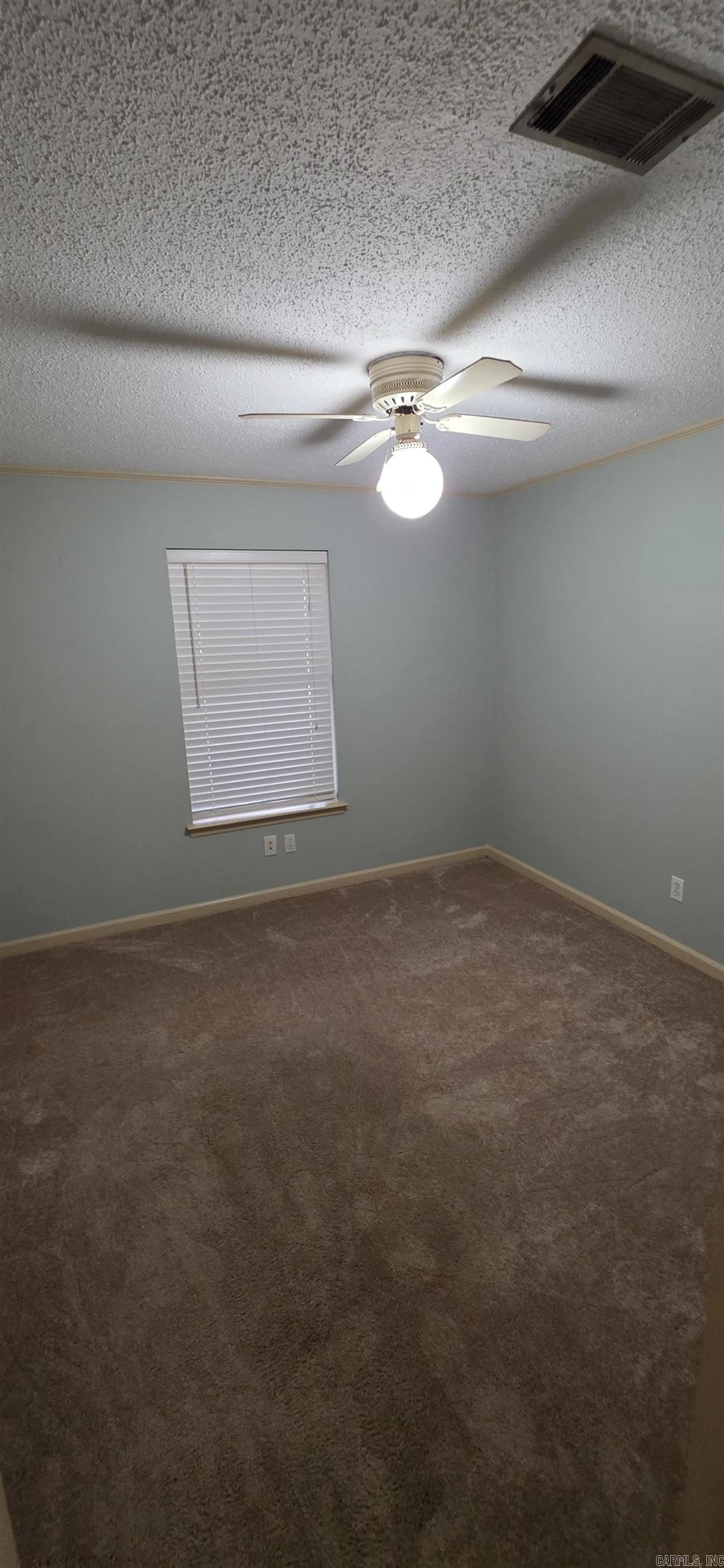 38 Morrison Court Property Photo 26