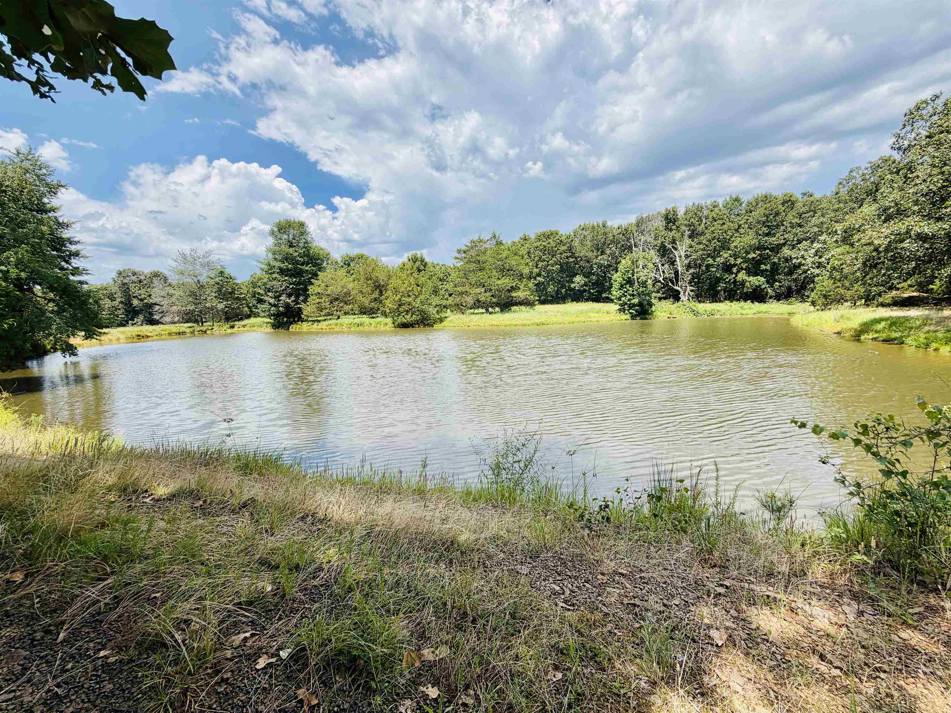 312 Jackson County Road 2 Property Photo 12