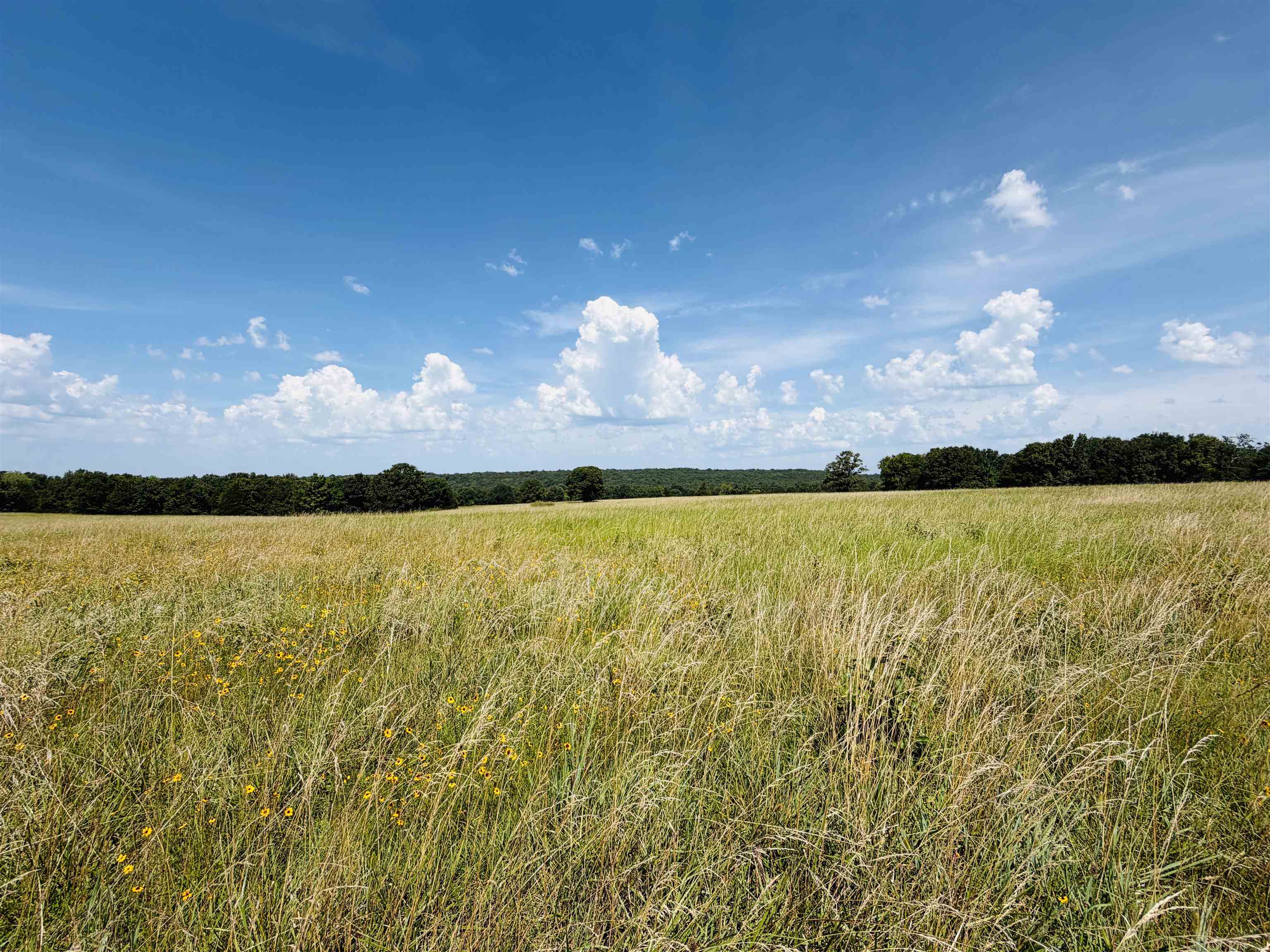 312 Jackson County Road 2 Property Photo 13