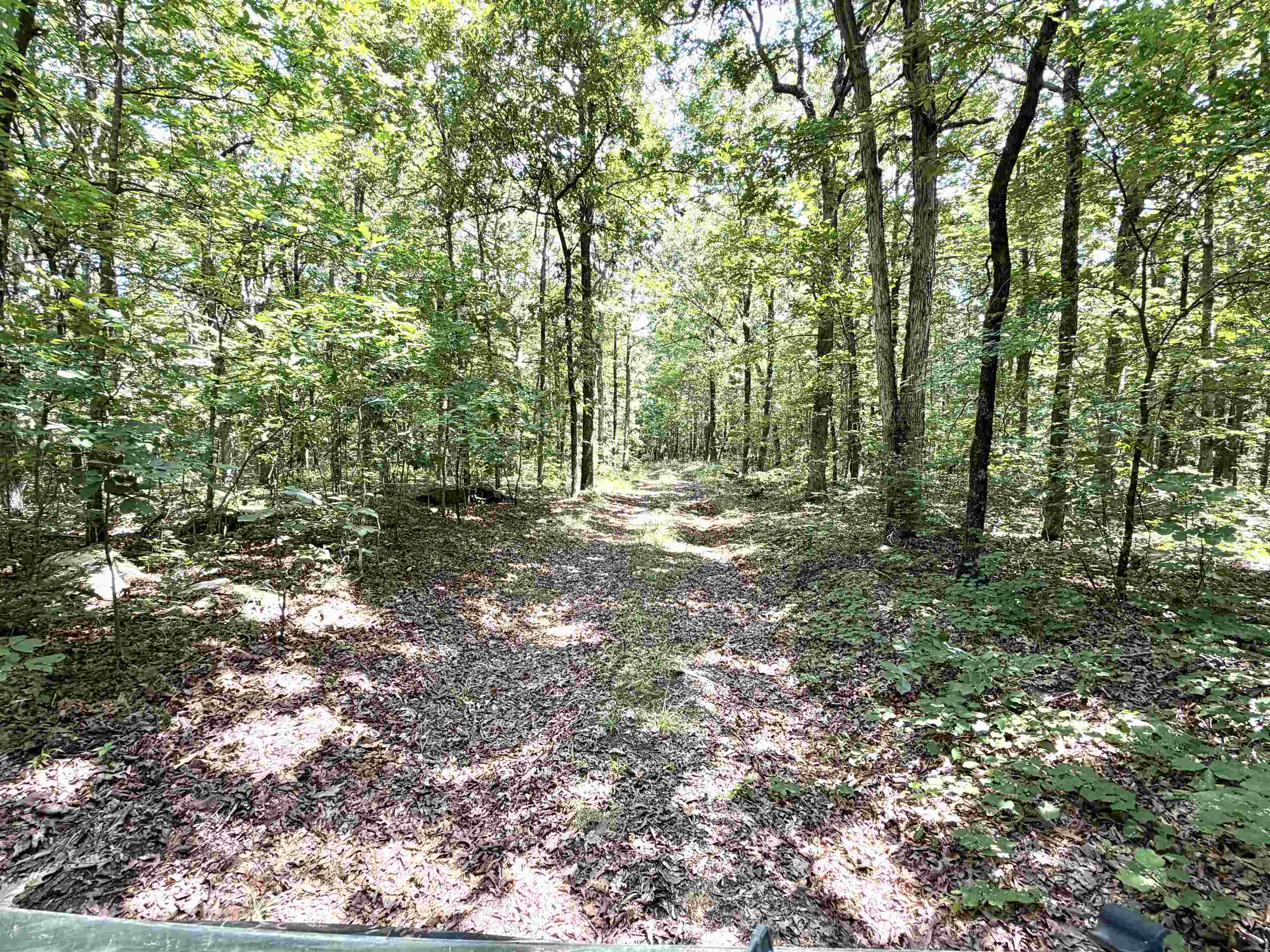 312 Jackson County Road 2 Property Photo 14