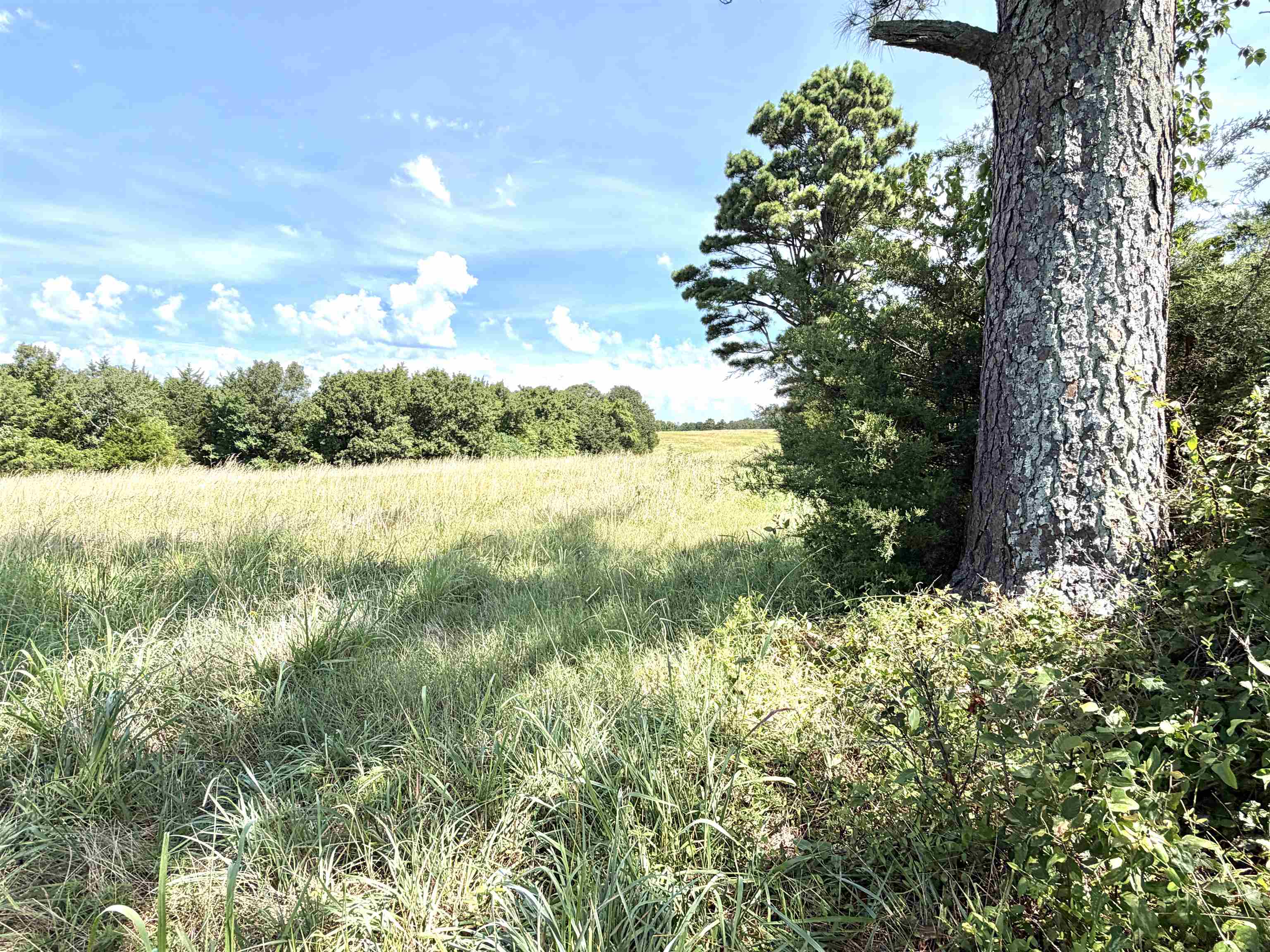 312 Jackson County Road 2 Property Photo 15