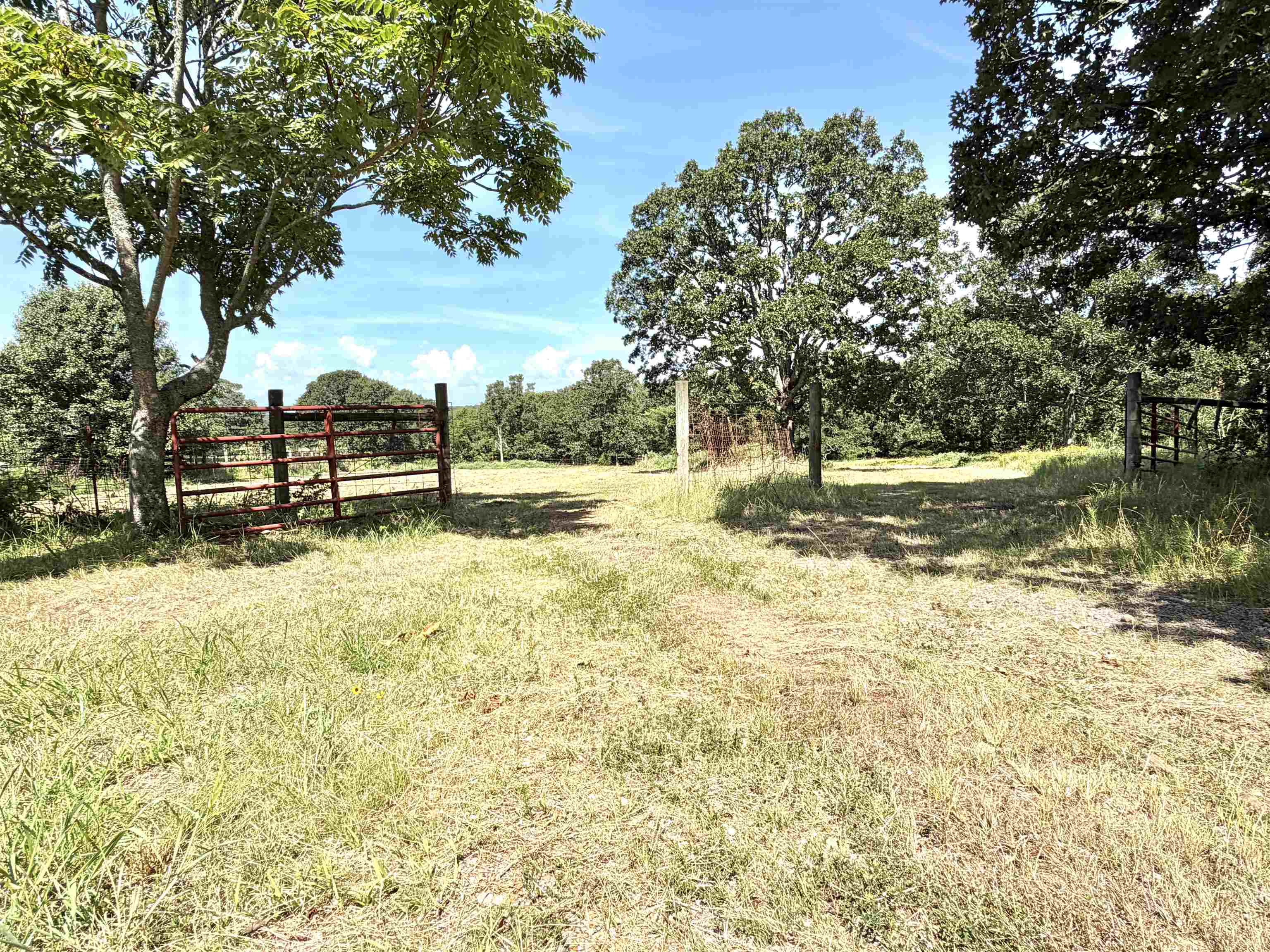 312 Jackson County Road 2 Property Photo 16
