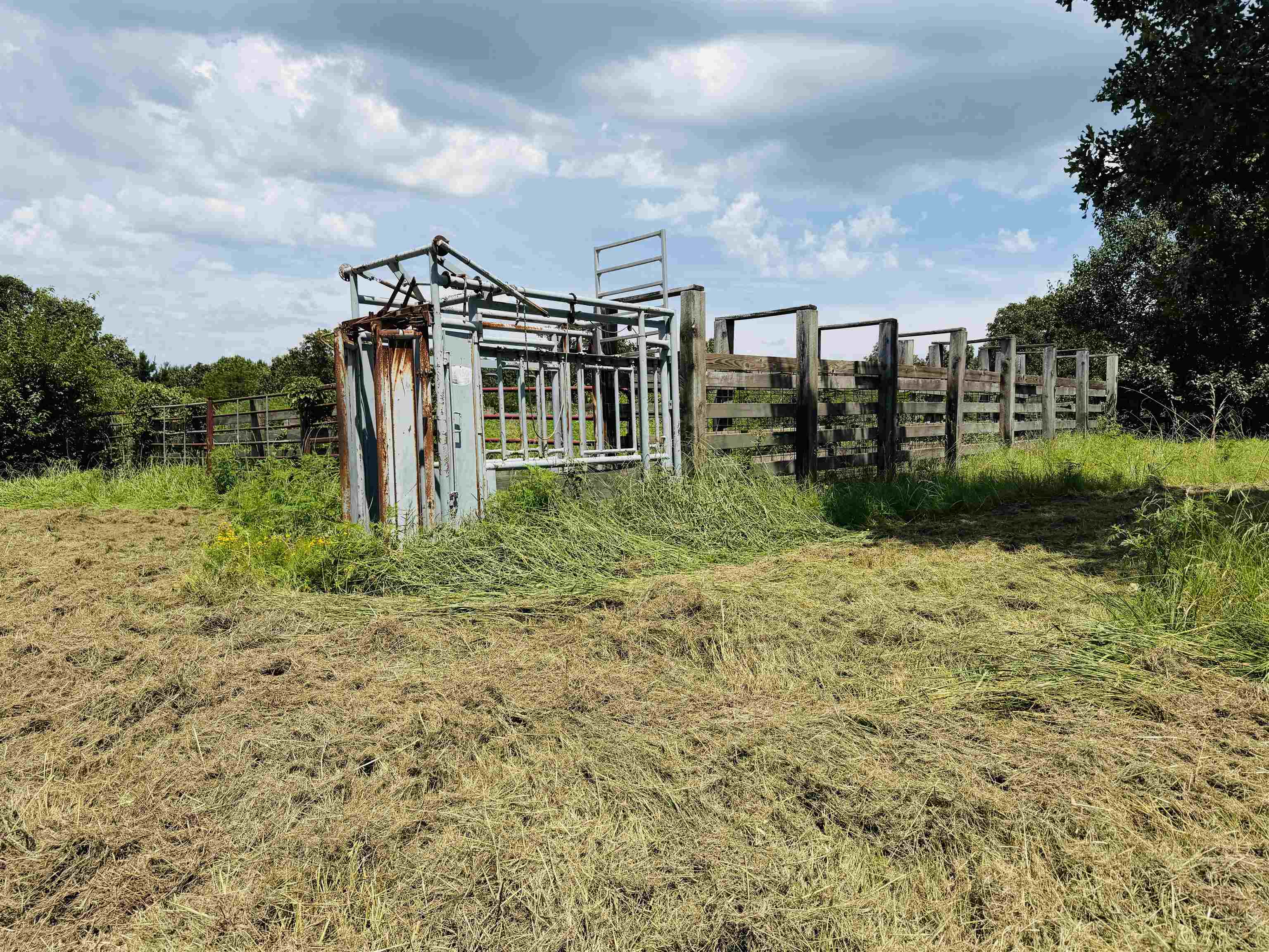 312 Jackson County Road 2 Property Photo 17