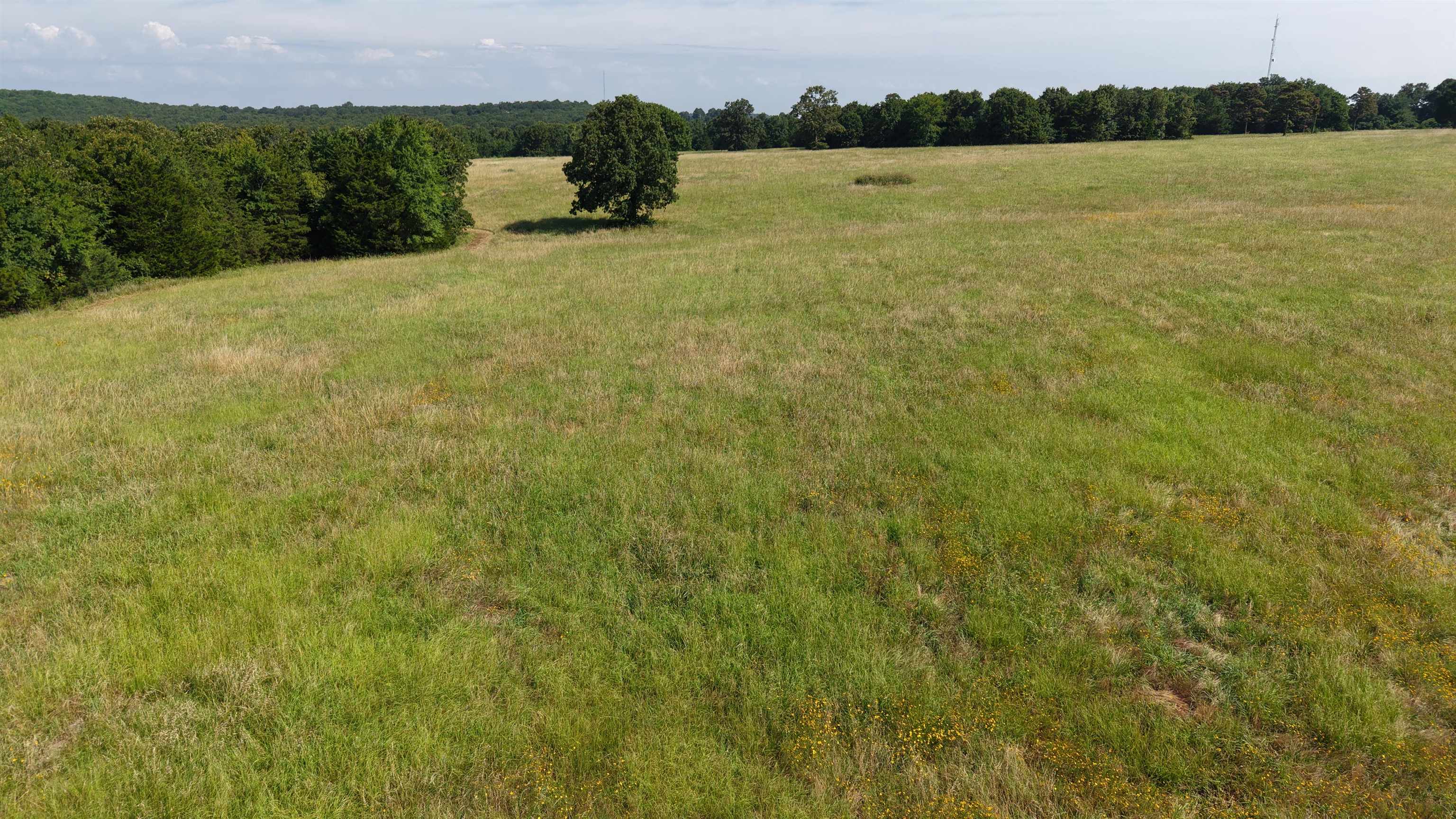 312 Jackson County Road 2 Property Photo 41