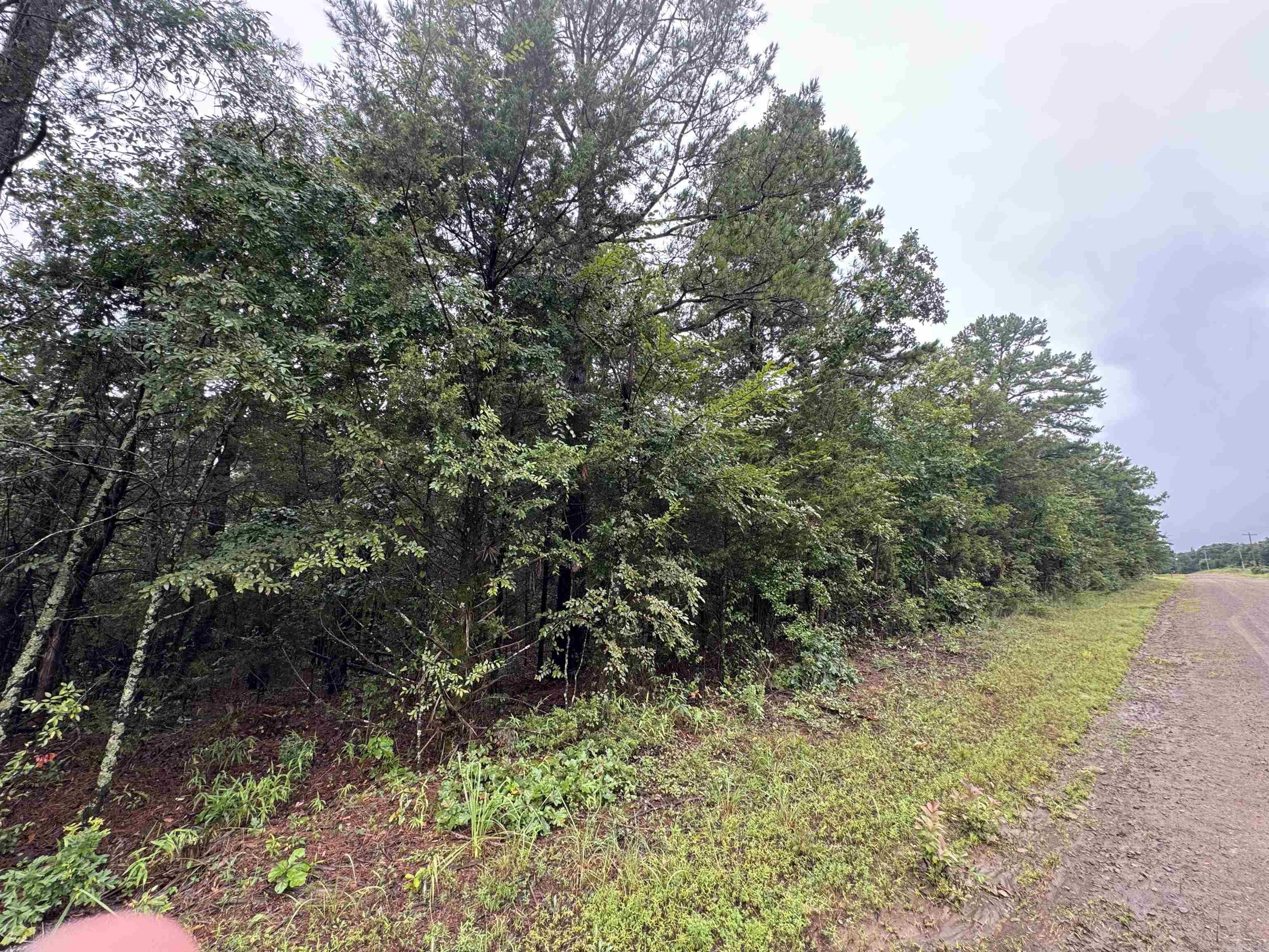 000 Mitchell Road Property Photo 3