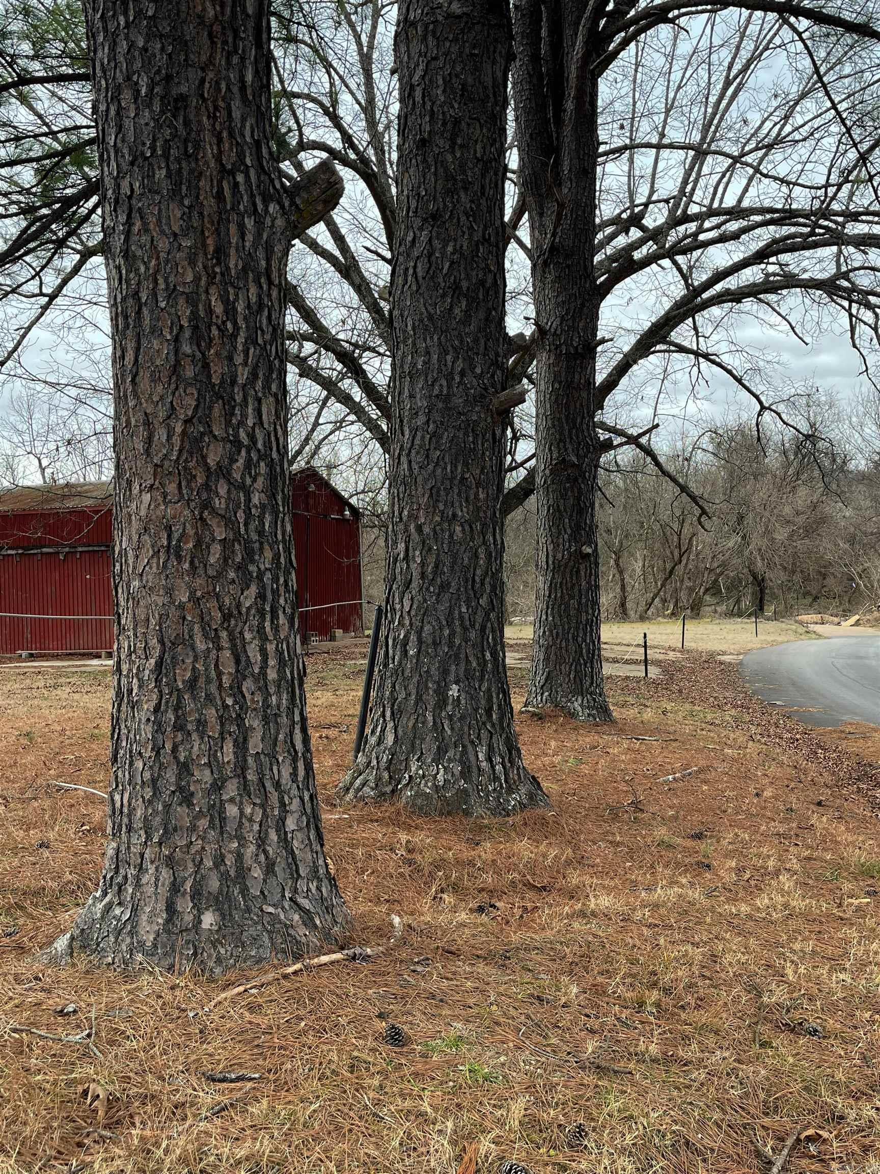 000 County Road 268 Property Photo 10