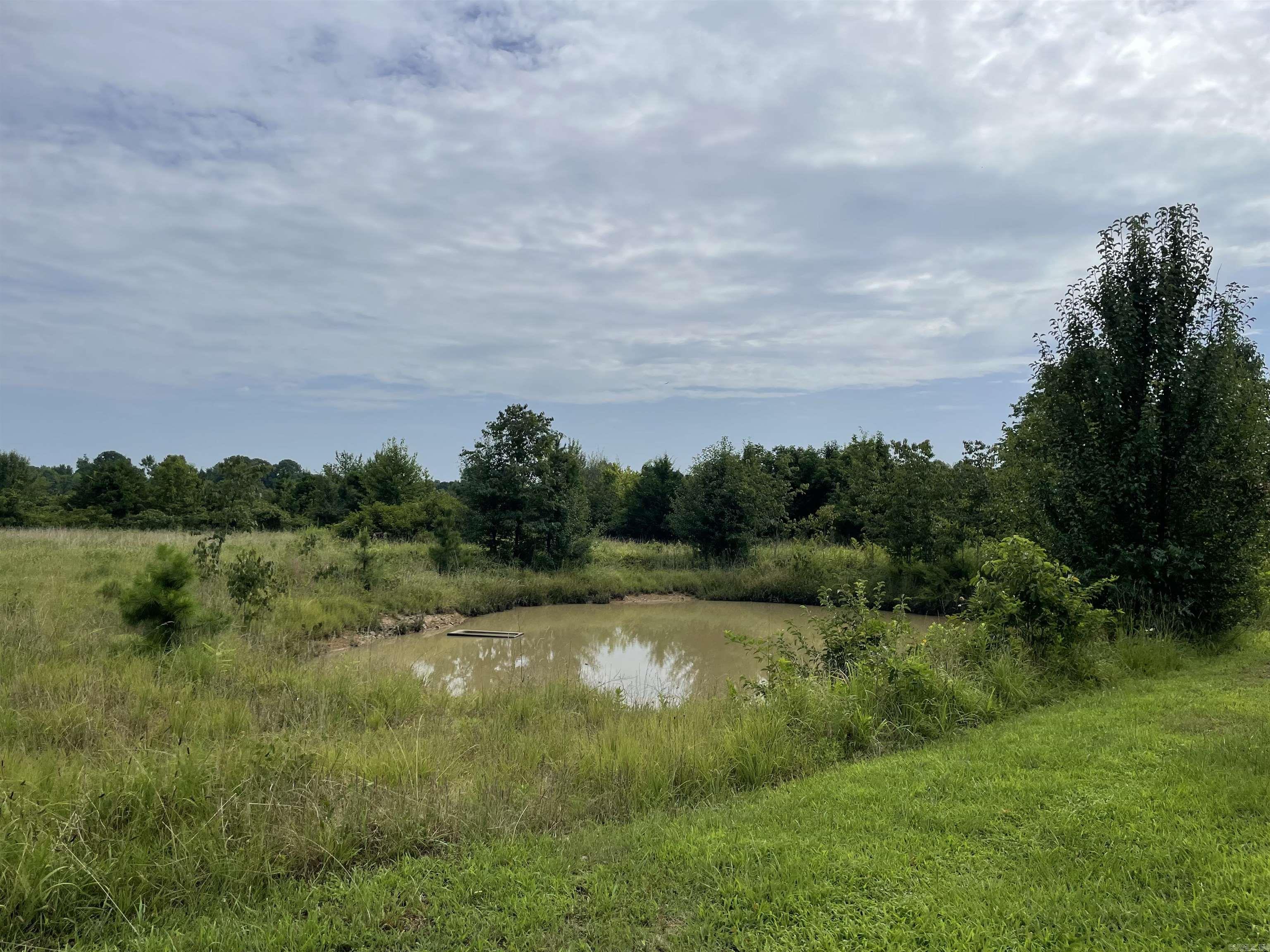 179 Lake Ice Road Property Photo 12