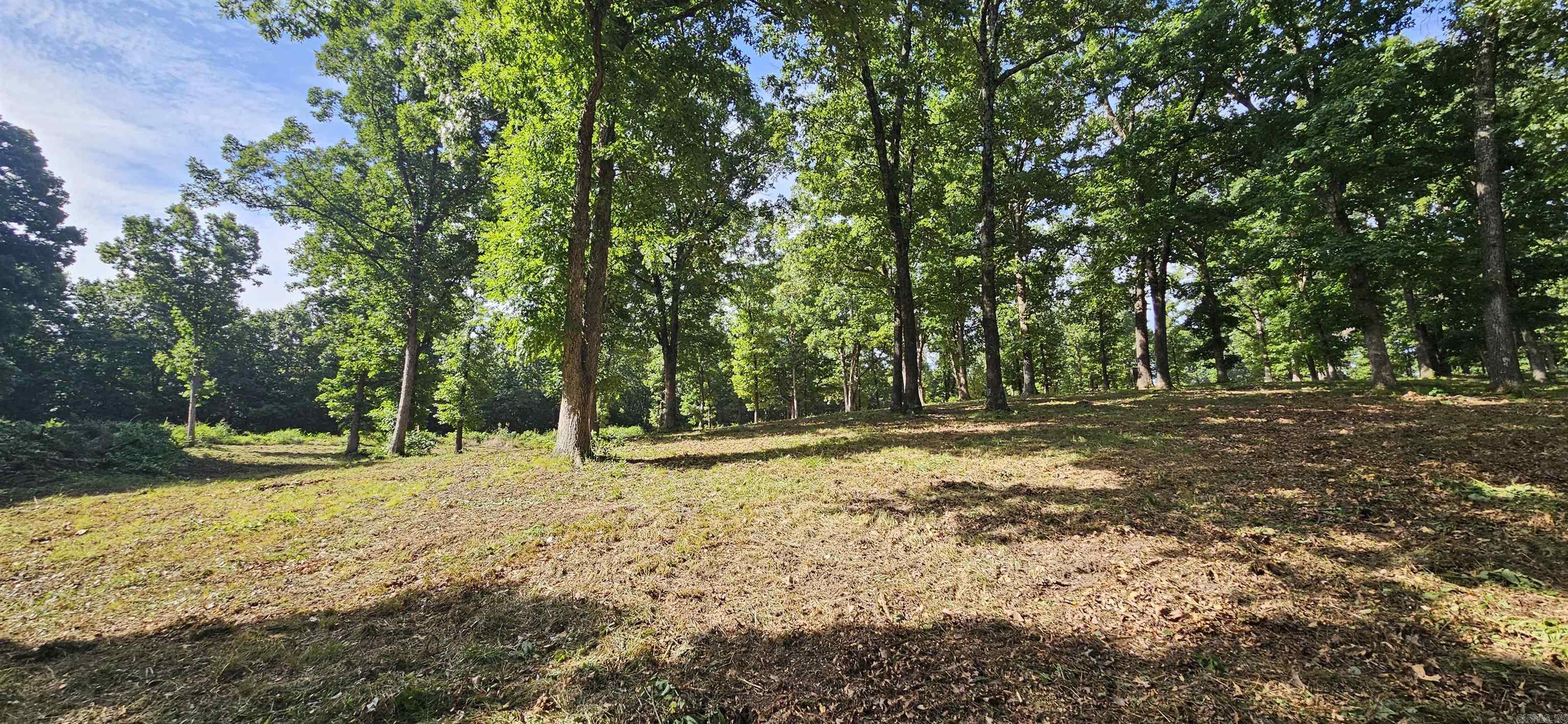 Lot 16 & 17 Pecks Drive Property Photo 5